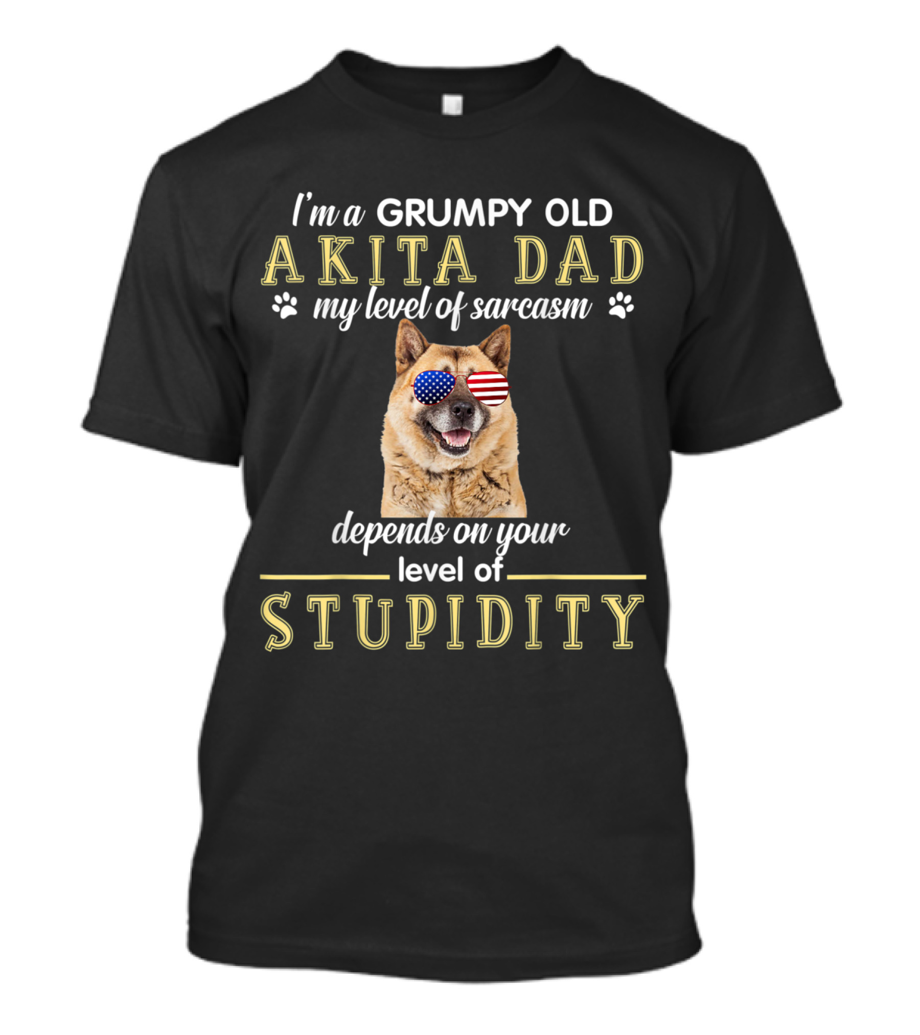 I'm A Grumpy Old Akita Dad My Level Of Sarcasm Depends On Your Level Of Stupidity T-Shirt