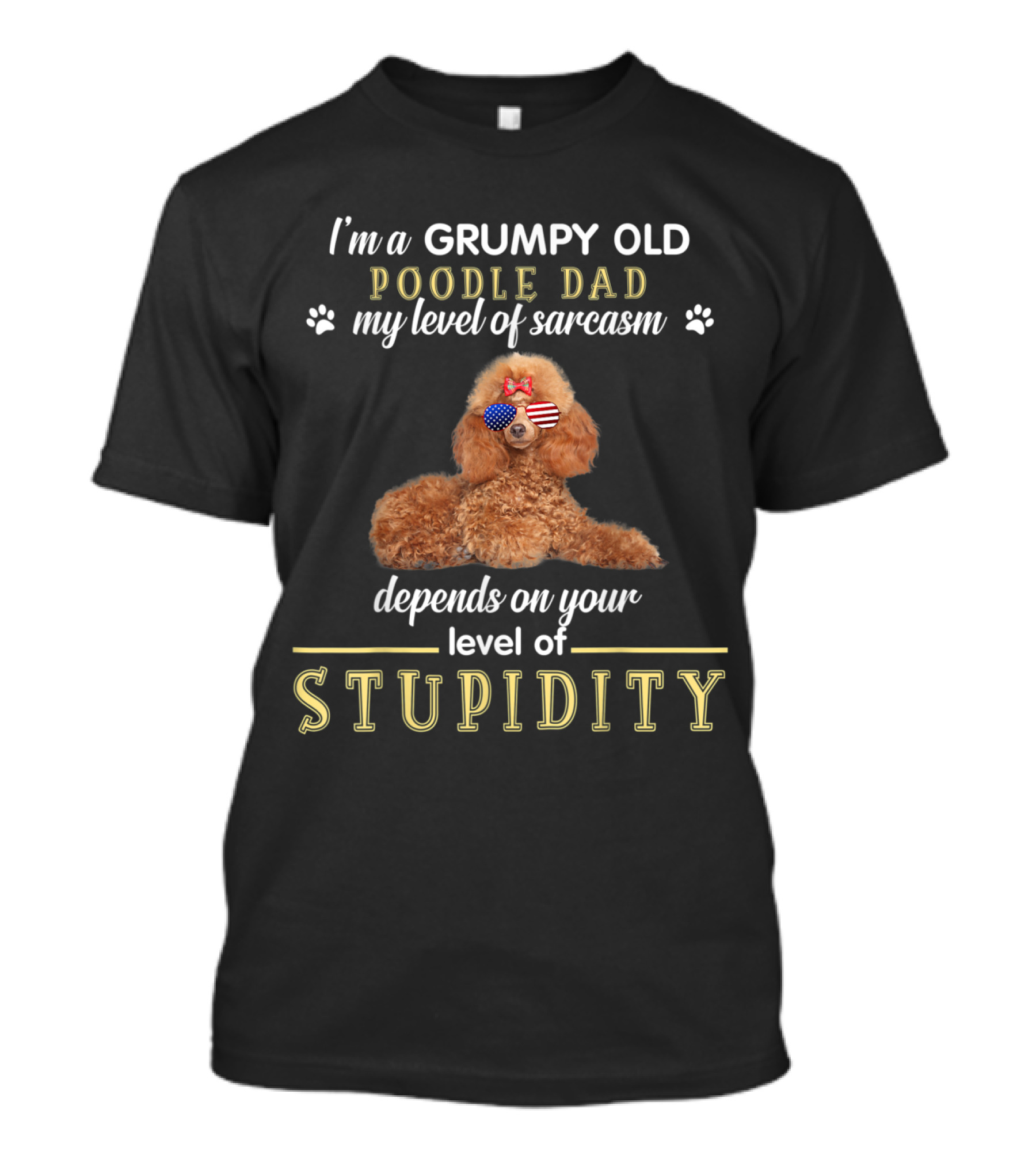 I'm A Grumpy Old Poodle Dad My Level Of Sarcasm Depends On Your Level Of Stupidity T-Shirt