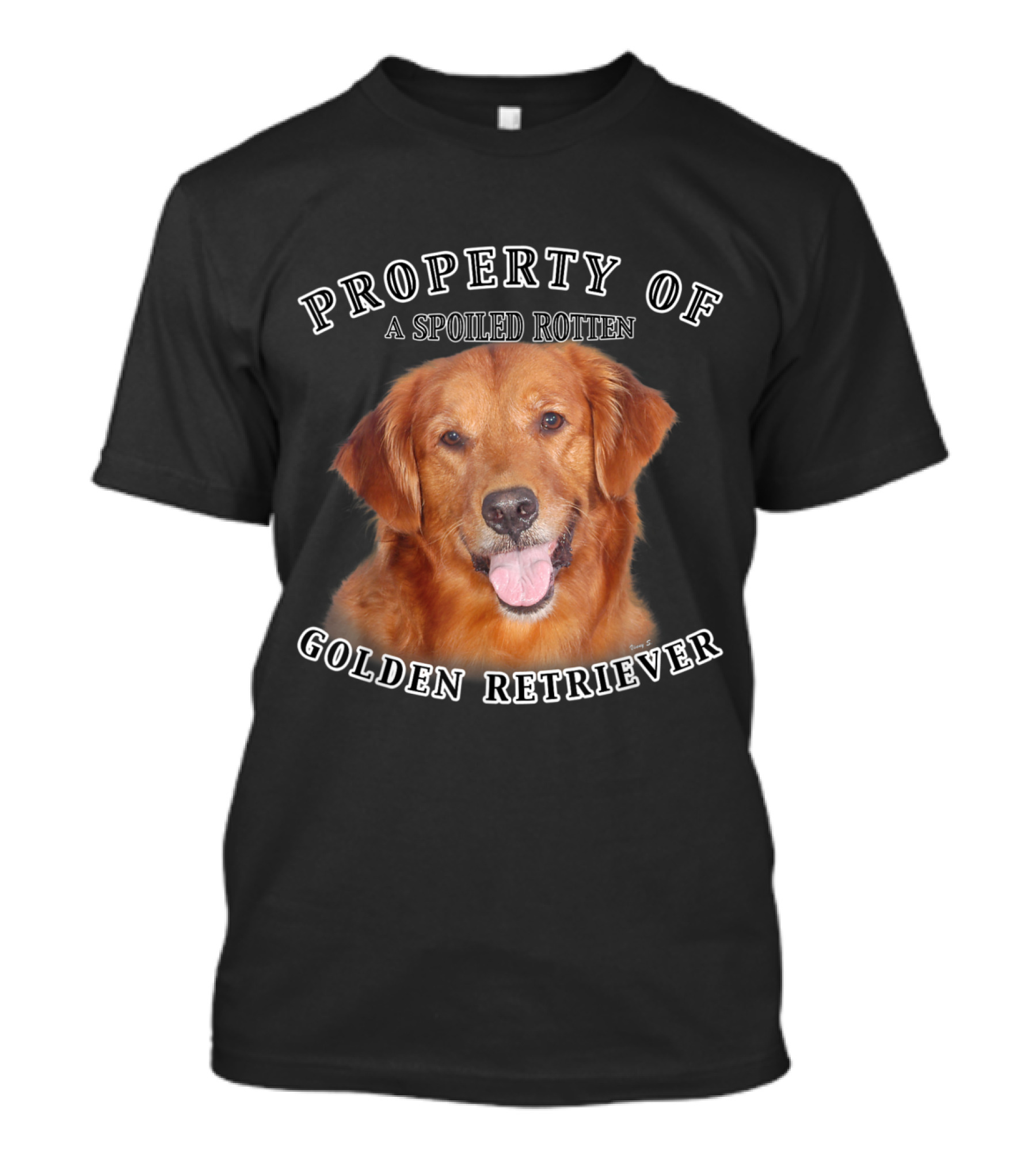 Property Of A Spoiled Rotten Golden Retriever T-Shirt