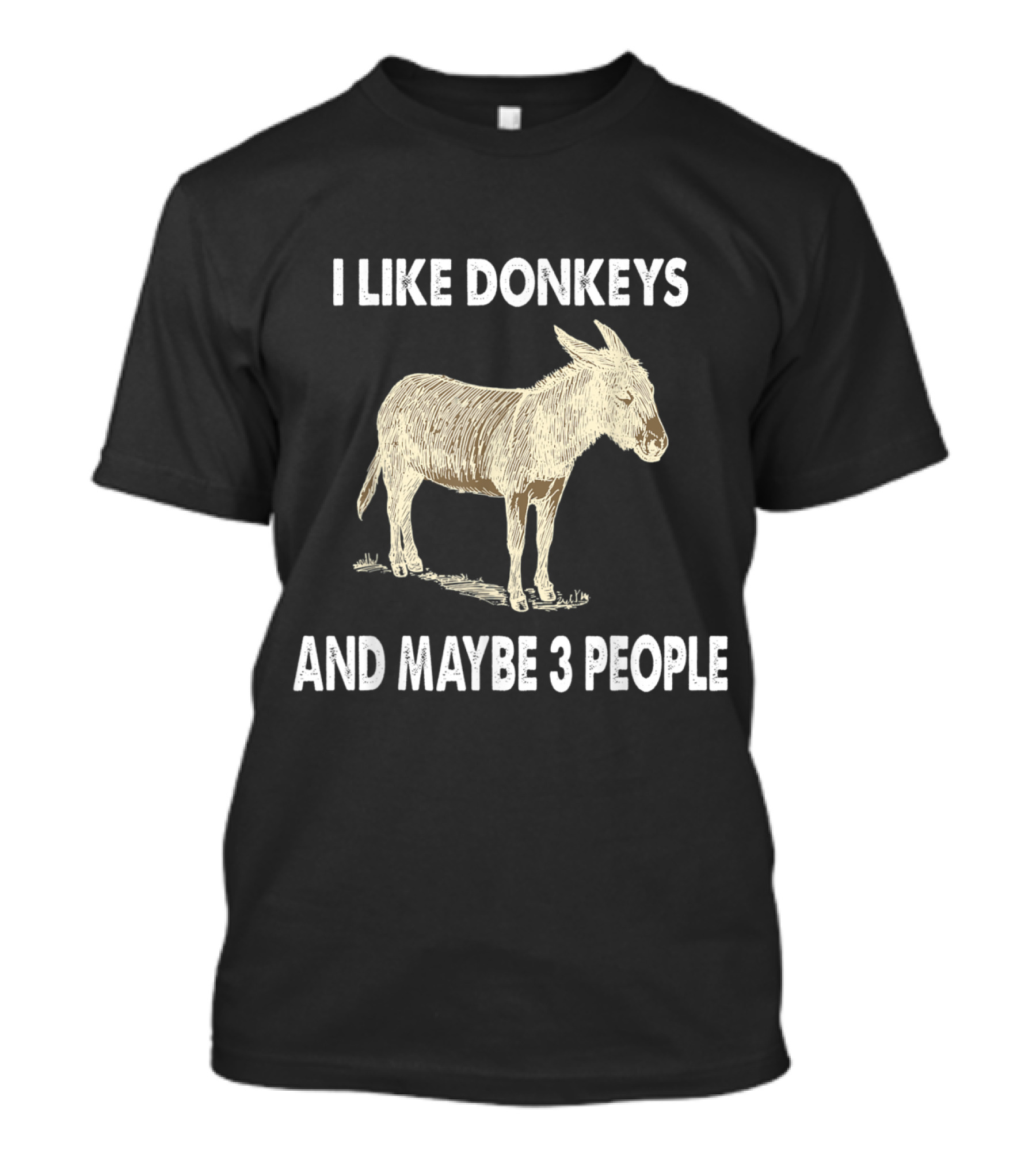 I Like Donkeys And Maybe 3 People Funny Donkey Text Joke T-Shirt