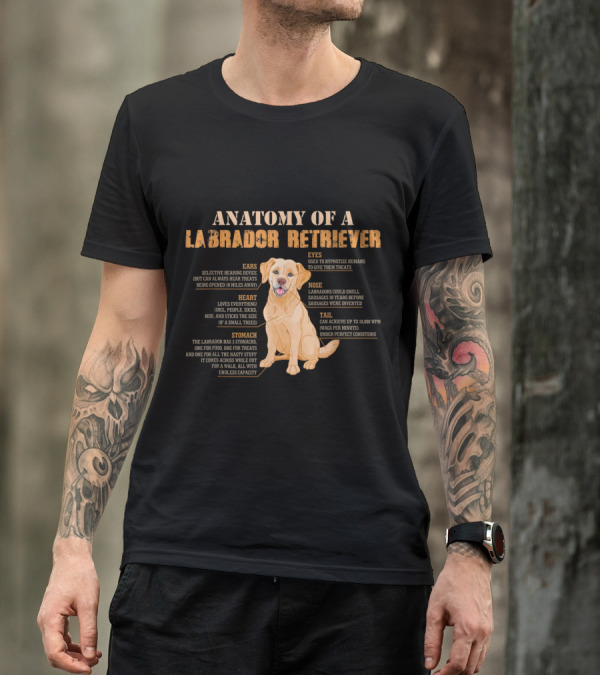 Anatomy Of A Labrador Retriever Ears Heart Stomach Eyes Nose Tail Features And Traits T-Shirt