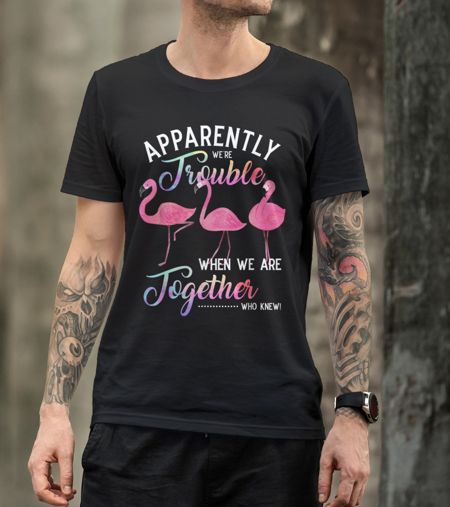 Apparently We're Trouble When We Are Together Flamingos Who Knew T-Shirt