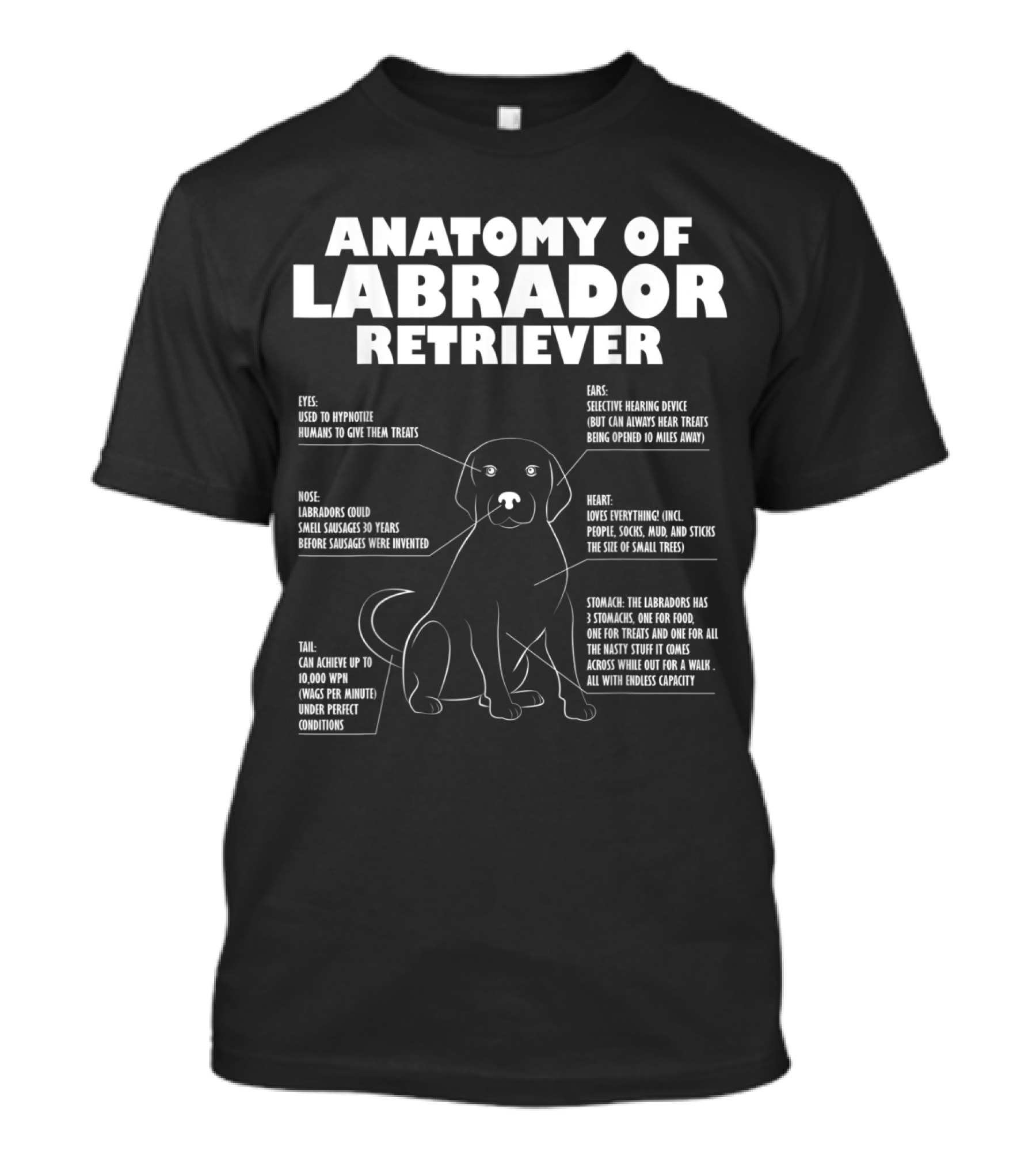 Anatomy Of Labrador Retriever Funny Labrador Characteristics And Traits T-Shirt
