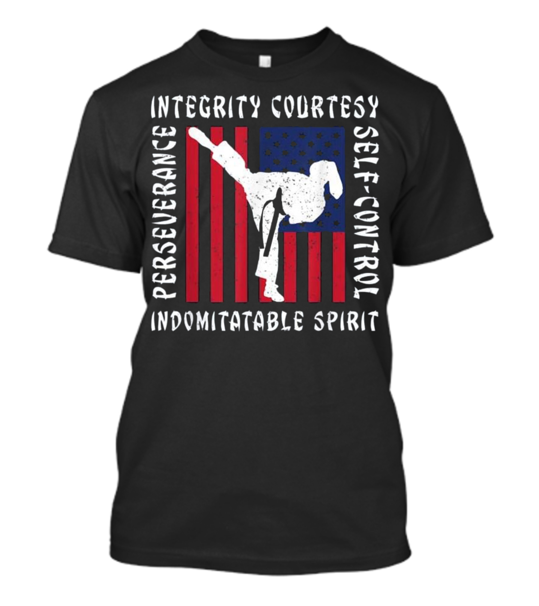 Taekwondo Perseverance Integrity Courtesy Self-Control Indomitable Spirit American Flag T-Shirt