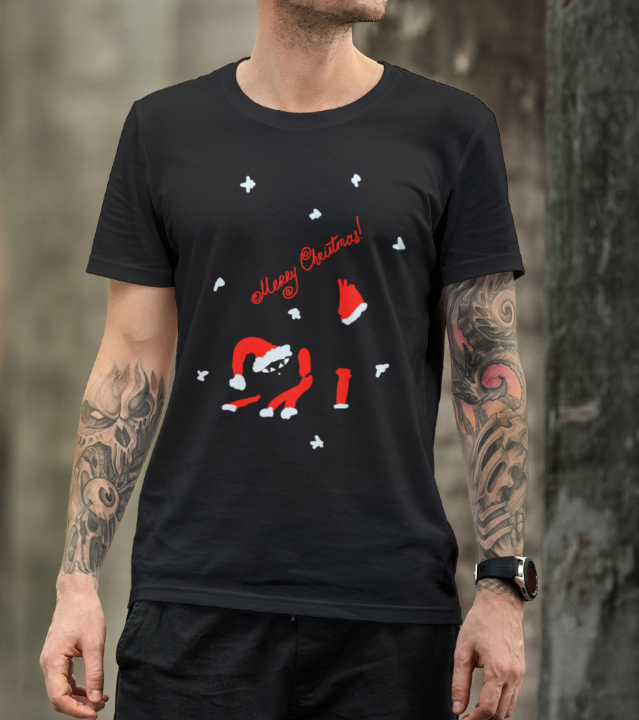 Merry Christmas Cat In Santa Outfit With Snowflakes T-Shirt