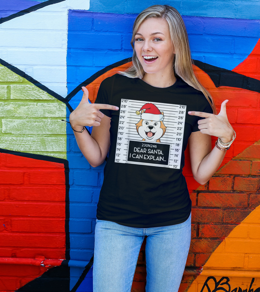 Cute Akita Mugshot Santa Hat Dear Santa I Can Explain T-Shirt