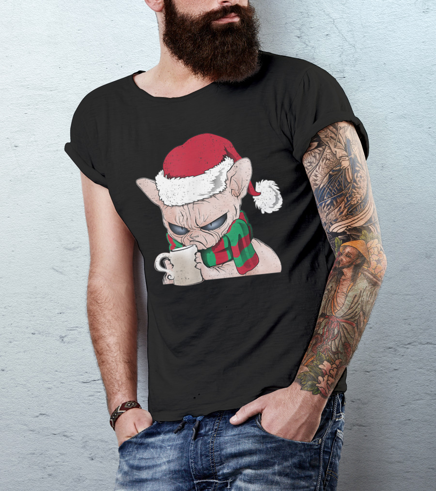 Sphynx Cat Lover Xmas Cat Santa Hat Grumpy Holiday Mug Scarf T-Shirt