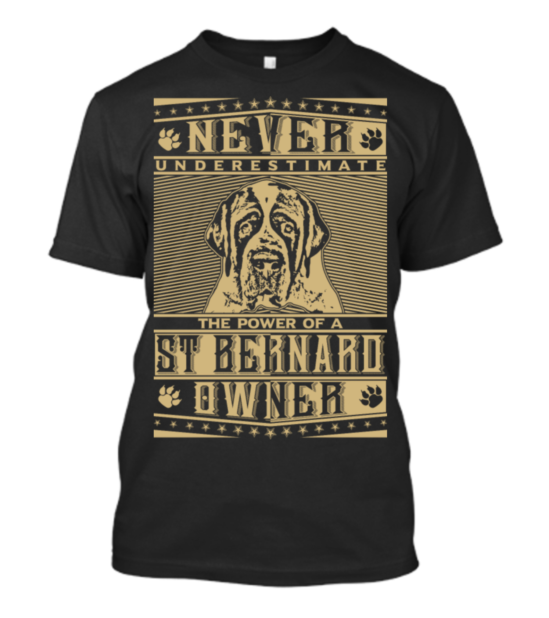 Never Underestimate The Power Of A St. Bernard Owner T-Shirt