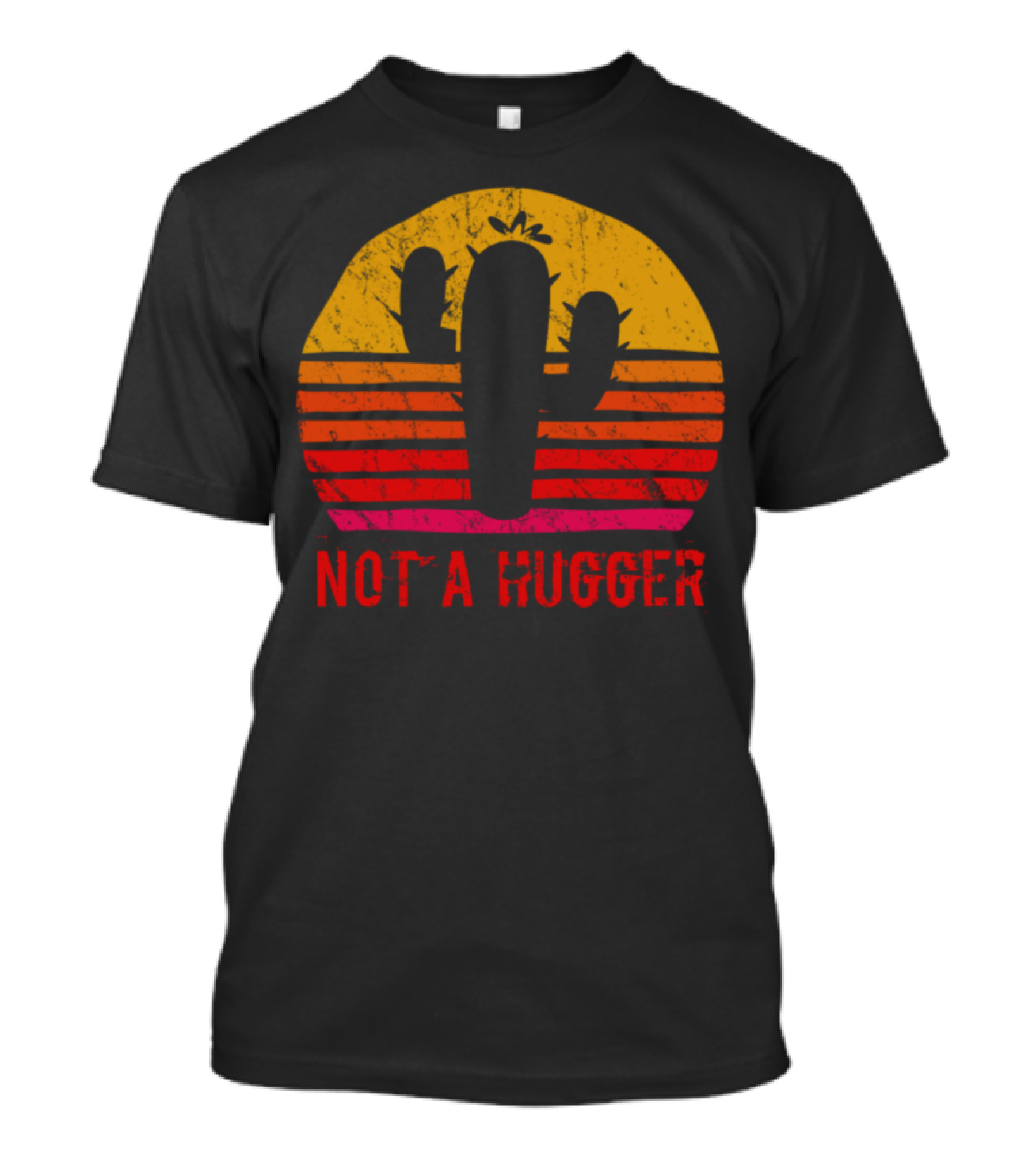 Vintage Sunset Cactus Not A Hugger T-Shirt