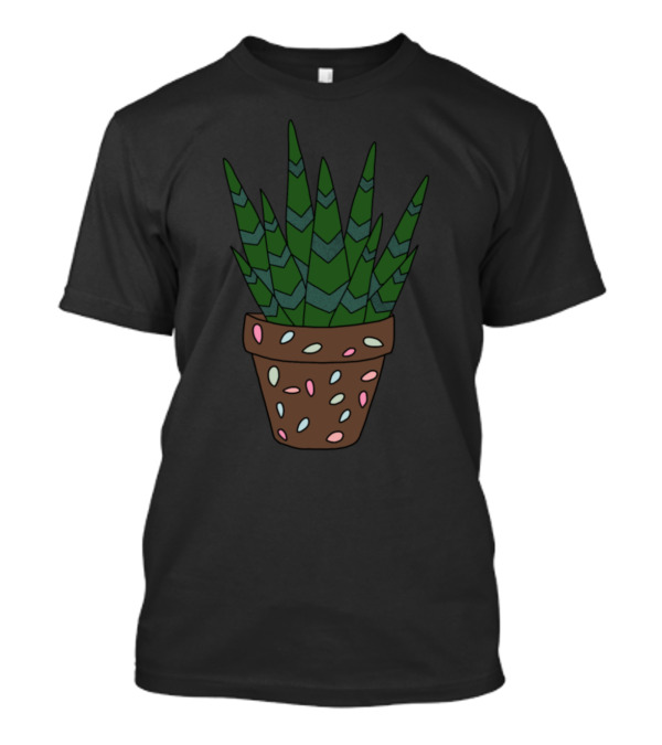 Haworthia Succulent In Decorative Terracotta Pot With Colorful T-Shirt
