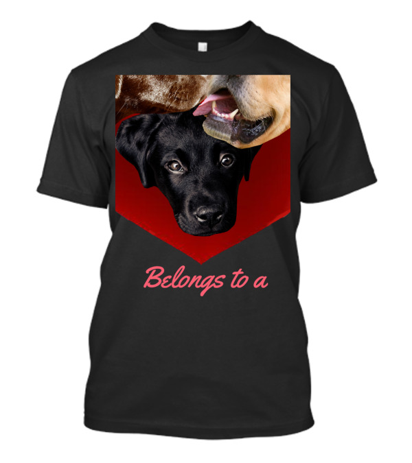 Belongs To A Labrador Dog Shows Yellow Lab Choc Lab Trio T-Shirt