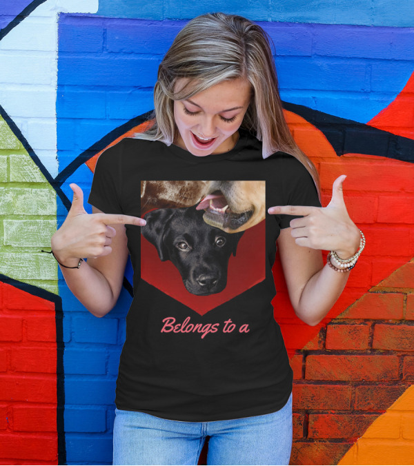 Belongs To A Labrador Dog Shows Yellow Lab Choc Lab Trio T-Shirt