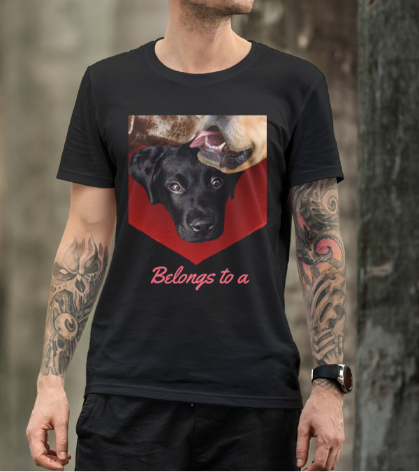 Belongs To A Labrador Dog Shows Yellow Lab Choc Lab Trio T-Shirt
