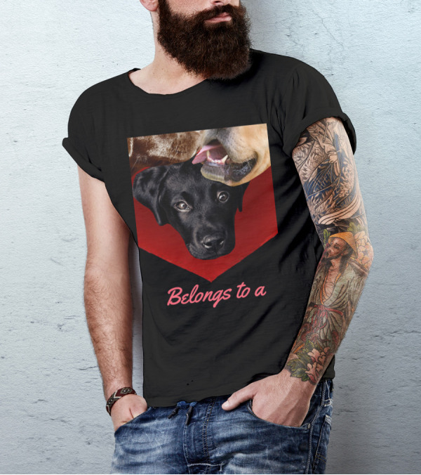Belongs To A Labrador Dog Shows Yellow Lab Choc Lab Trio T-Shirt