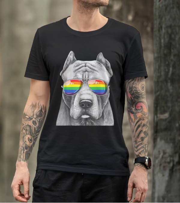 Pitbull Wearing Rainbow Pride Flag Sunglasses T-Shirt