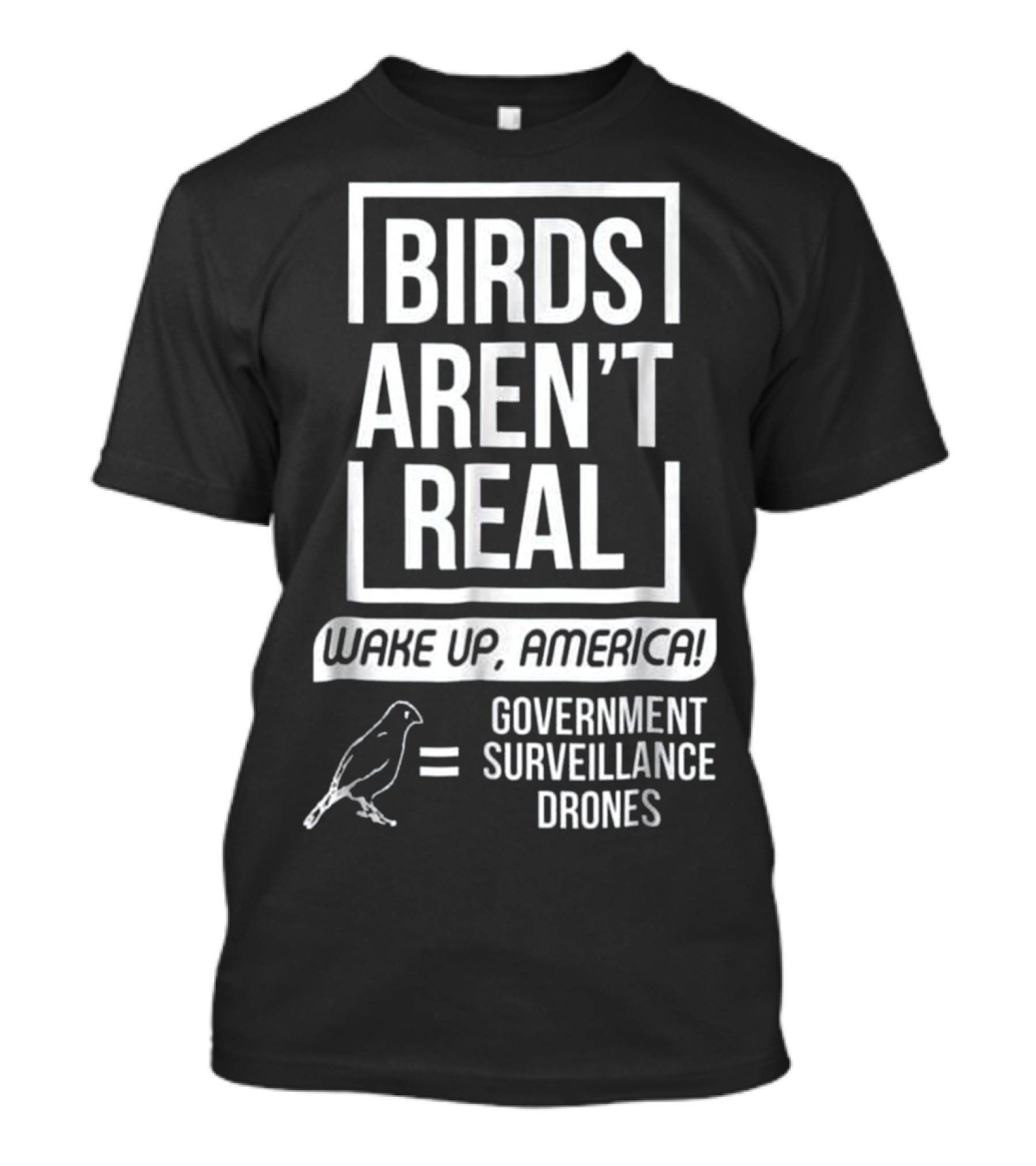 BIRDS AREN'T REAL WAKE UP AMERICA GOVERNMENT SURVEILLANCE DRONES T-Shirt