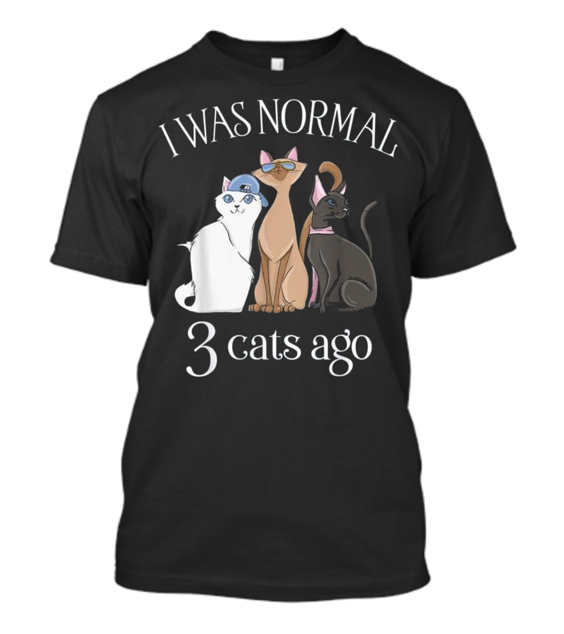 I Was Normal 3 Cats Ago Cats With Hats Sunglasses And Scarves T-Shirt