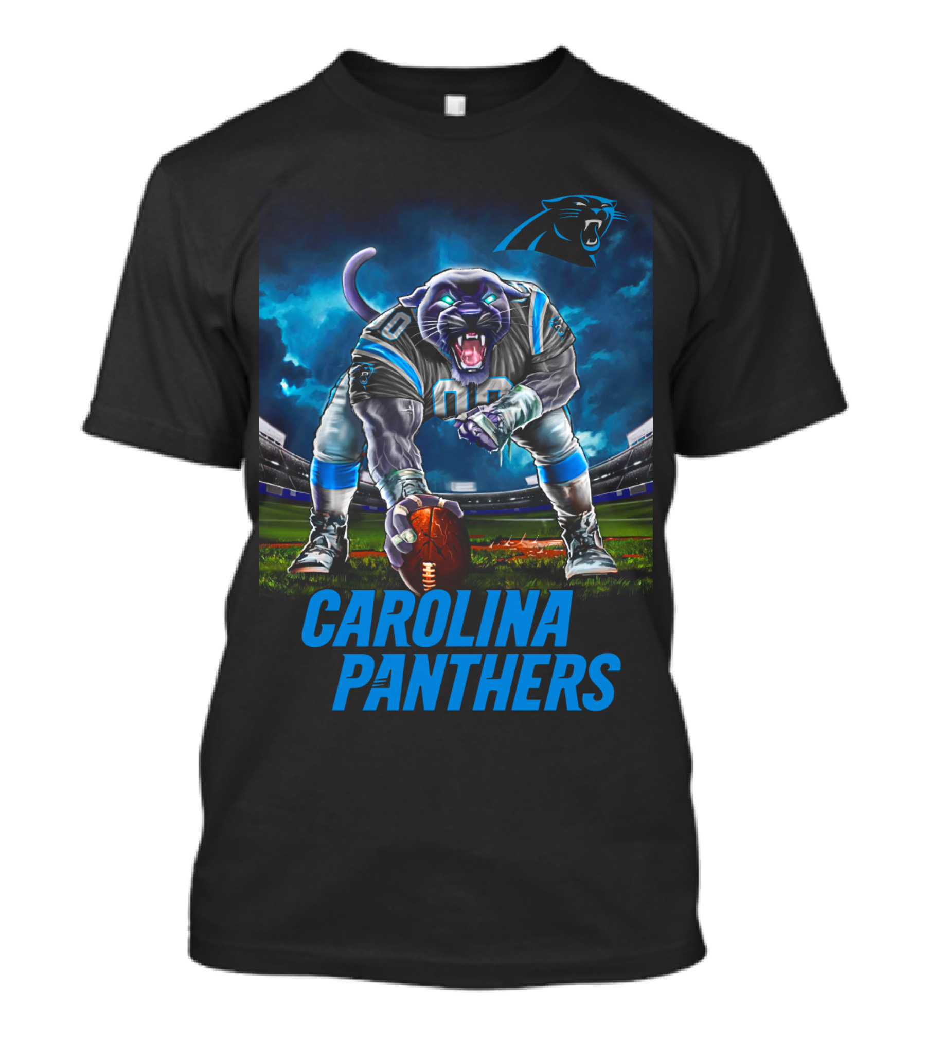 Carolina Panthers 3 Point Stance Nfl Stadium Panther T-Shirt