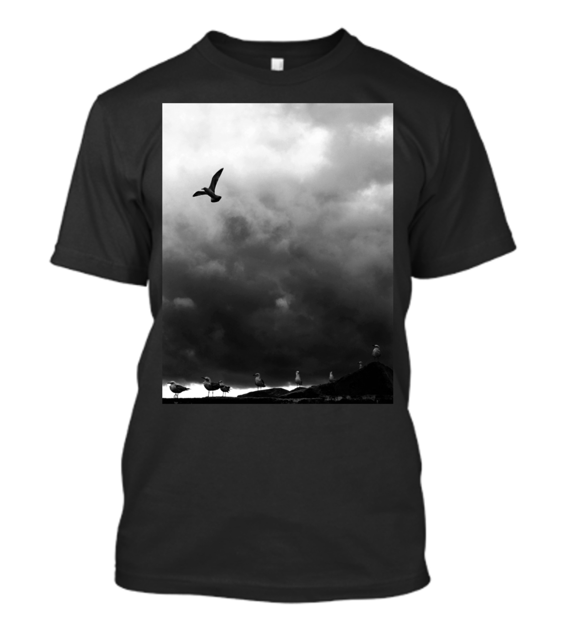 Flight Seagull Against Stormy Sky With Clouds And Birds On Ground T-Shirt