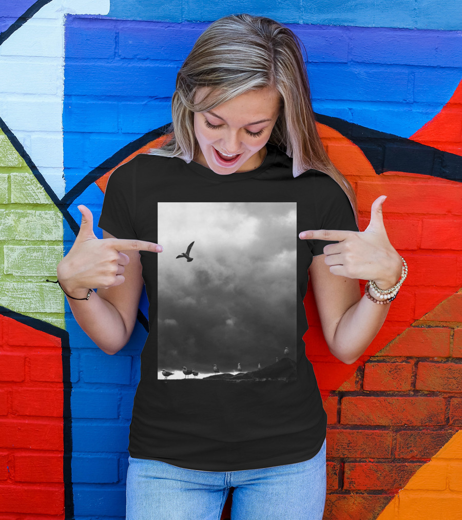 Flight Seagull Against Stormy Sky With Clouds And Birds On Ground T-Shirt