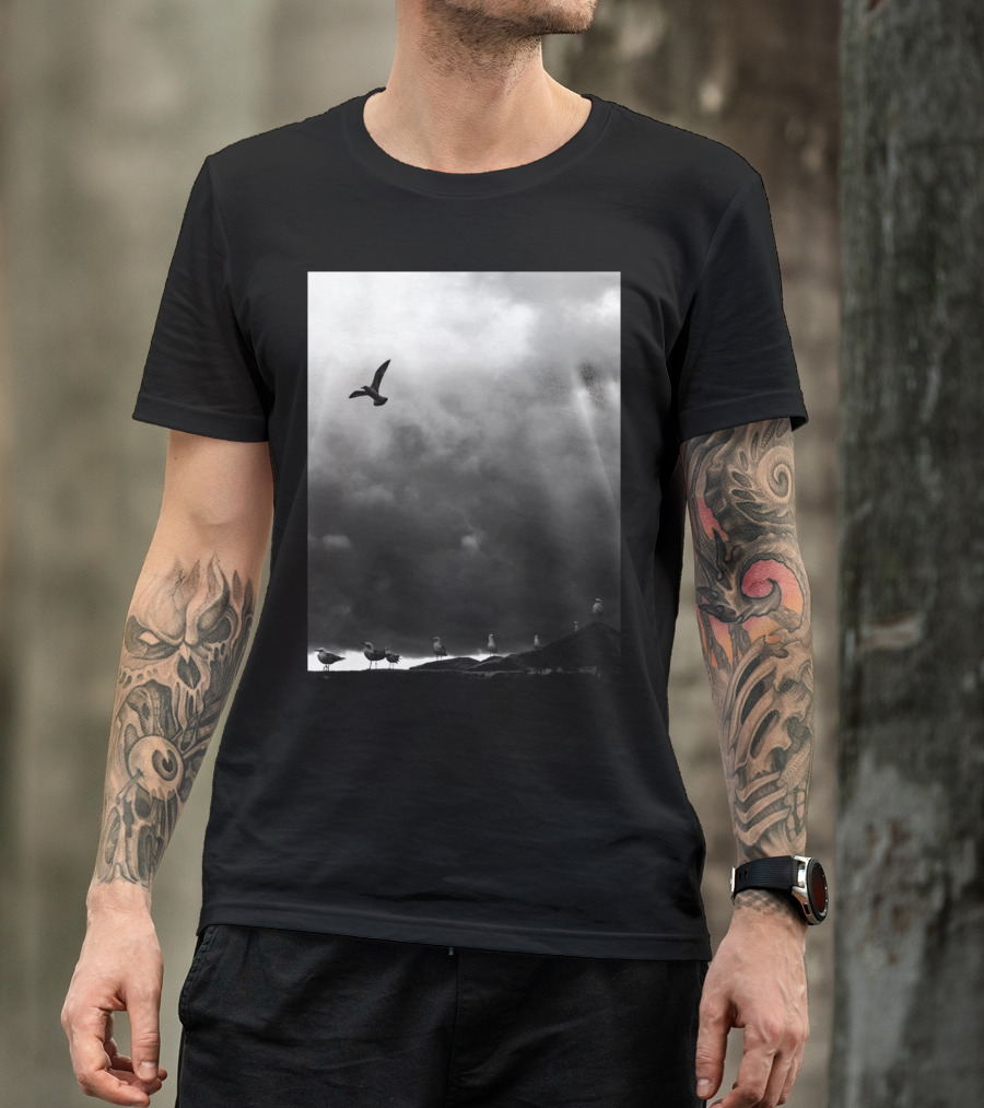 Flight Seagull Against Stormy Sky With Clouds And Birds On Ground T-Shirt