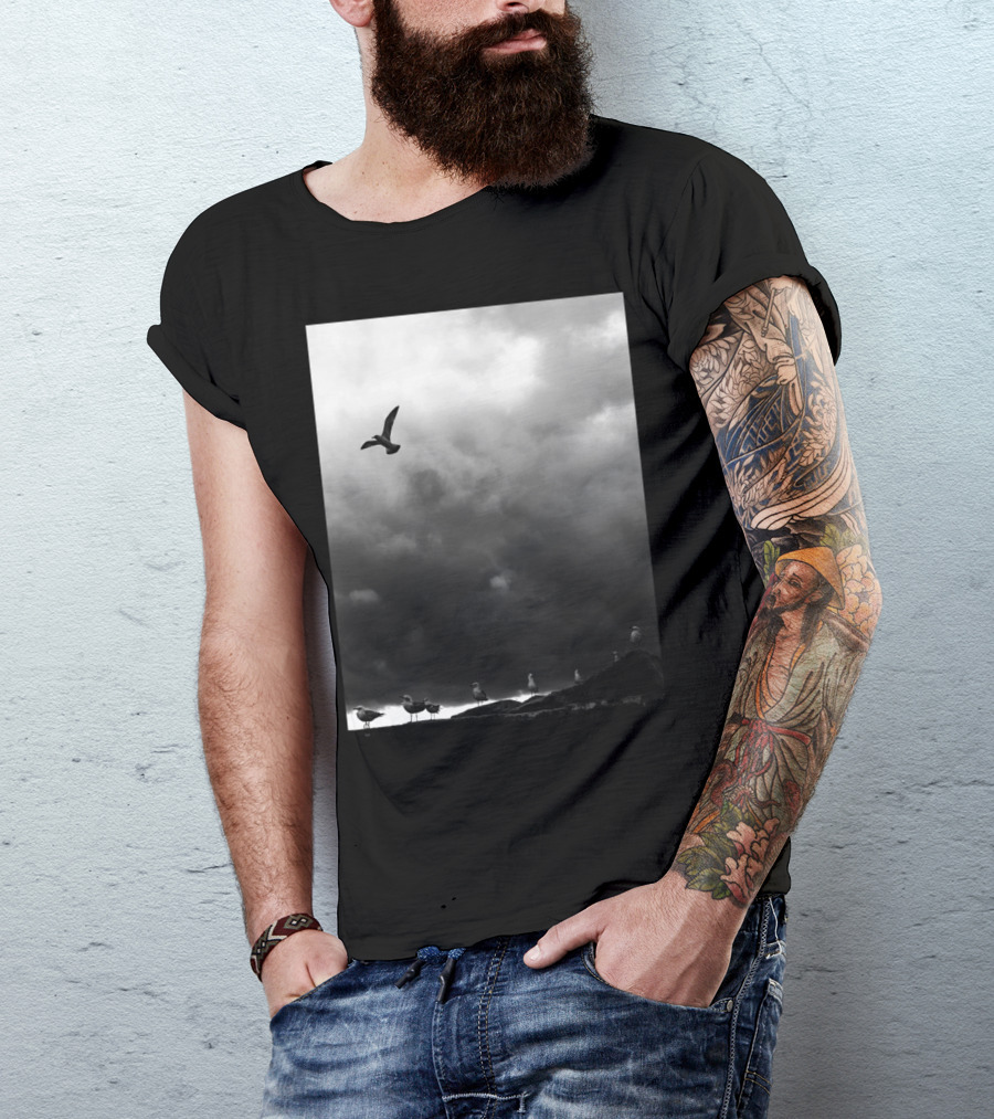 Flight Seagull Against Stormy Sky With Clouds And Birds On Ground T-Shirt