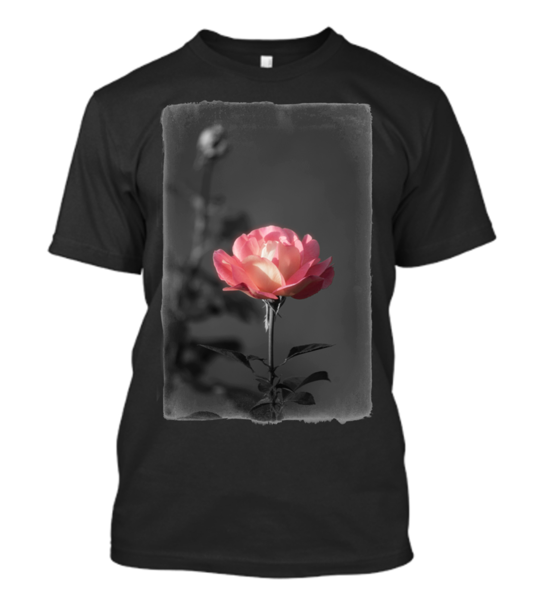 Delicate Rose In Monochrome And Color Contrast T-Shirt