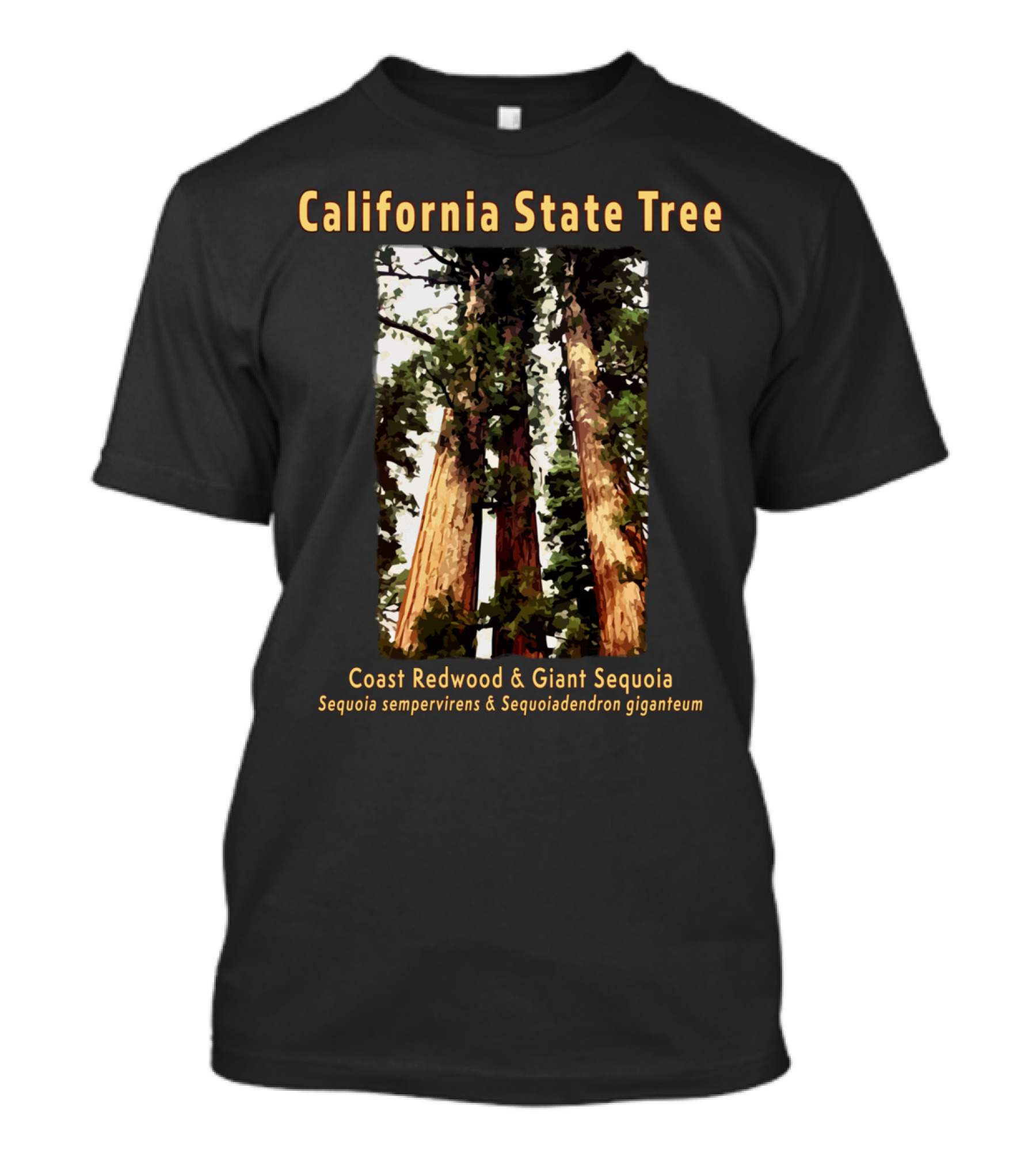 California State Tree Coast Redwood And Giant Sequoia Sequoia Sempervirens And Sequoiadendron Giganteum T-Shirt