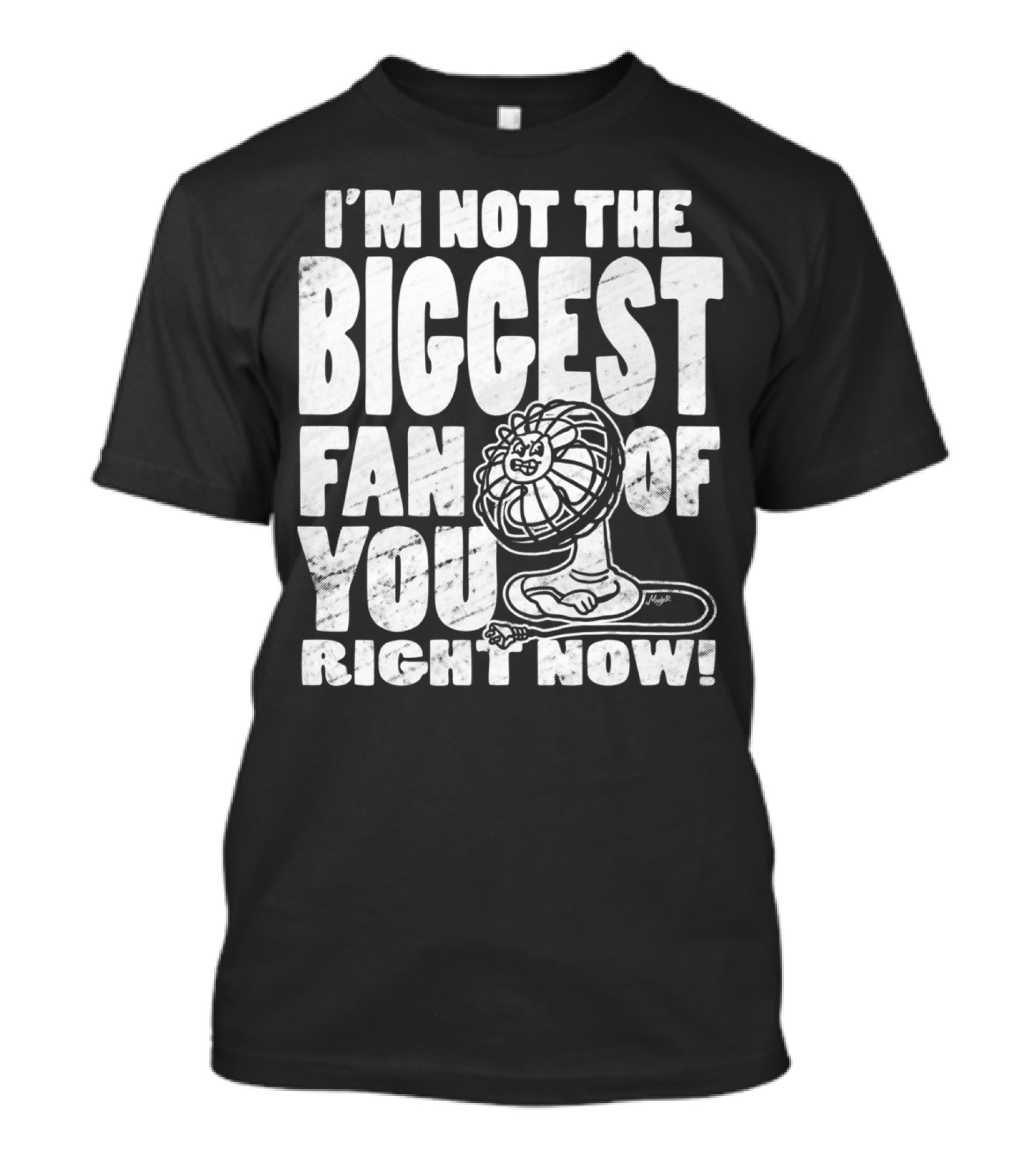 I'm Not The Biggest Fan Of You Right Now T-Shirt