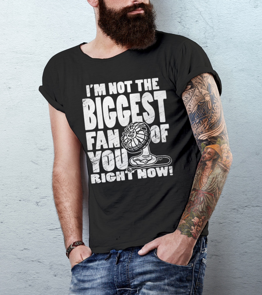 I'm Not The Biggest Fan Of You Right Now T-Shirt