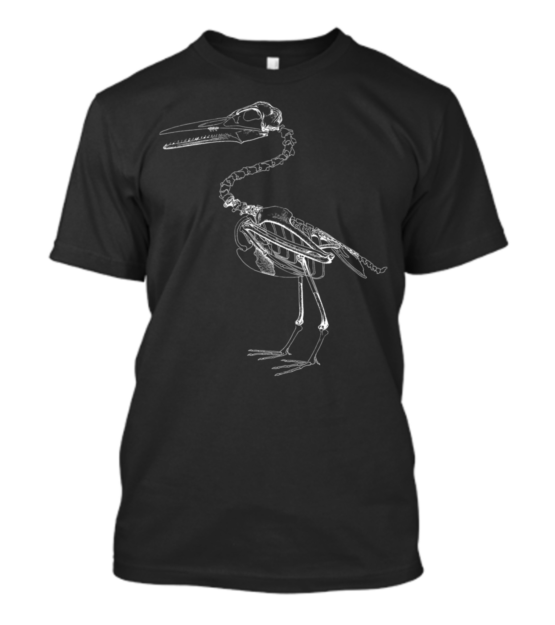 Hesperornis Skeleton Ancient Flightless Bird Fossil Northeastern Paleontology T-Shirt