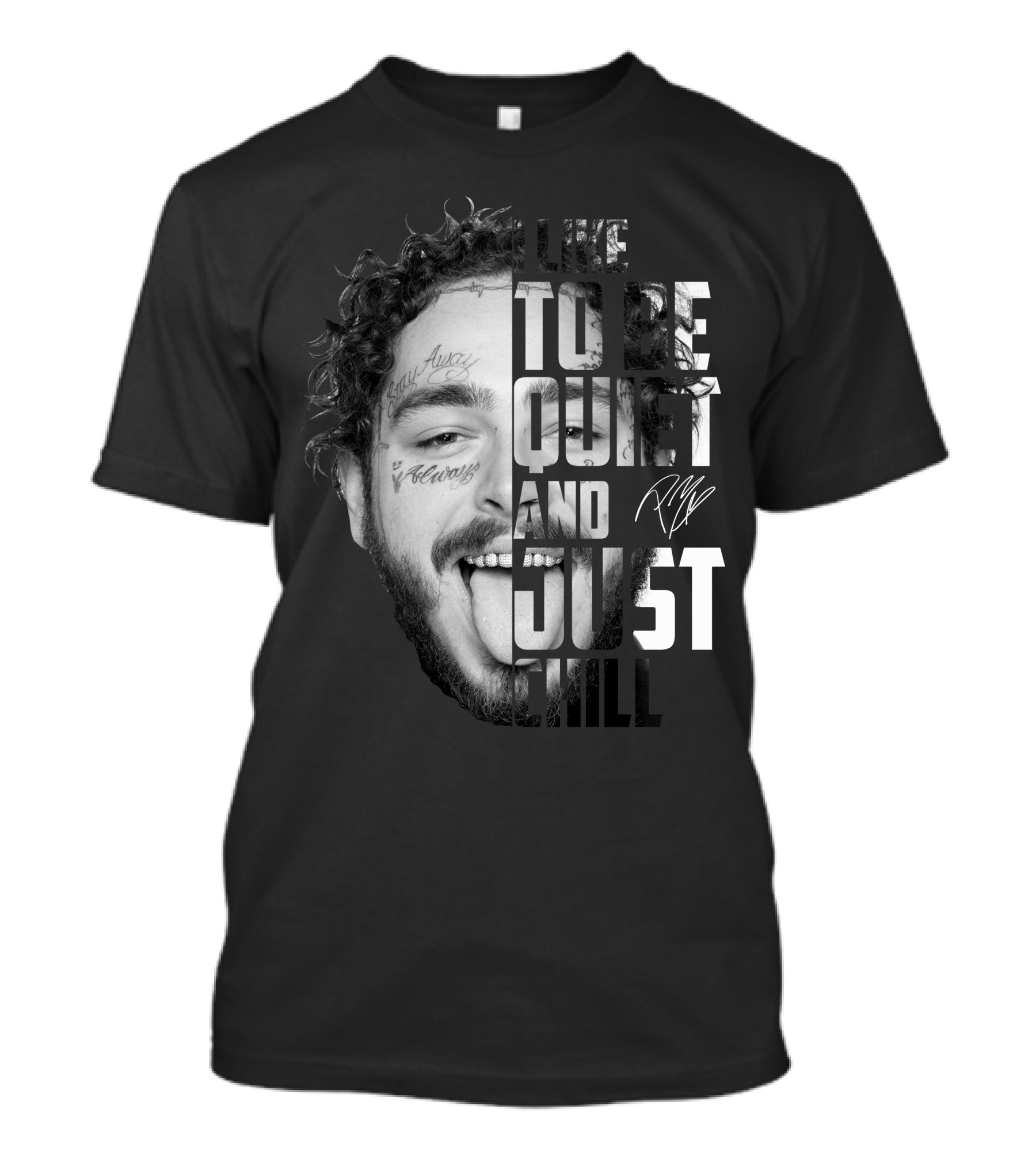 I Like To Be Quiet And Just Chill T-Shirt