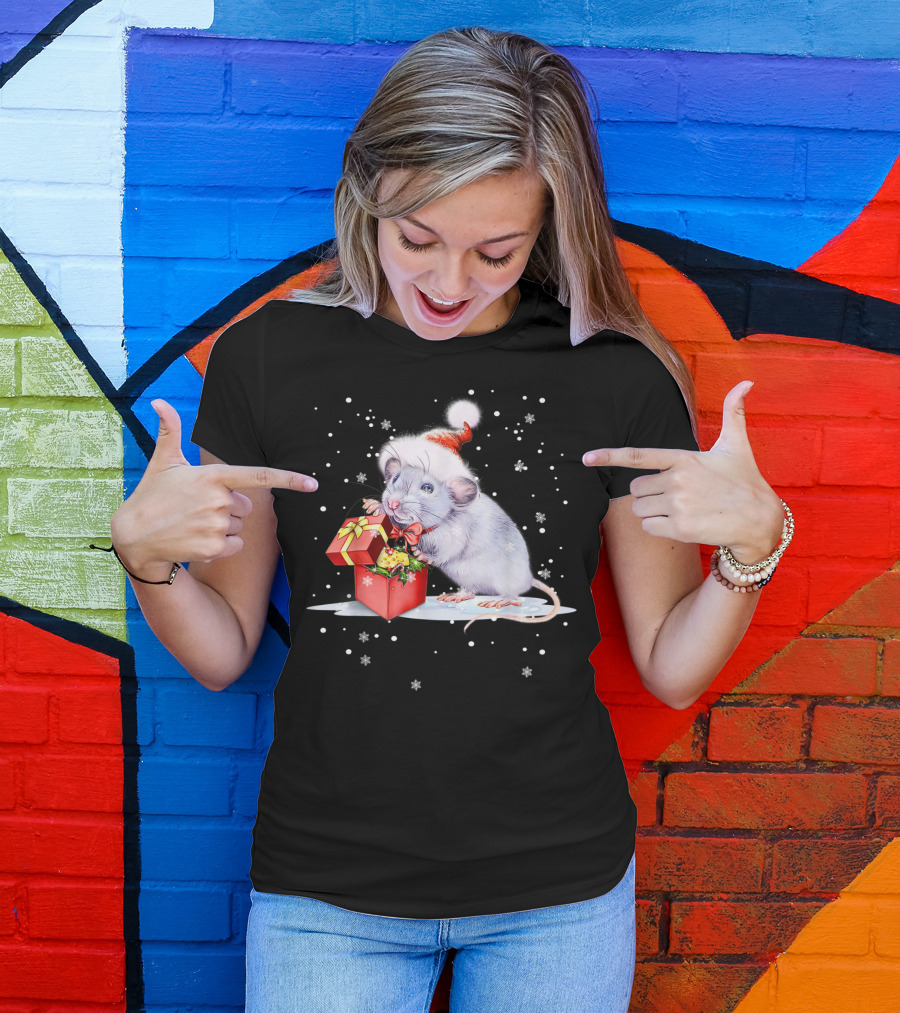 Funny Hamsters Christmas Santa Hat Animal Gift Box Snowflakes T-Shirt