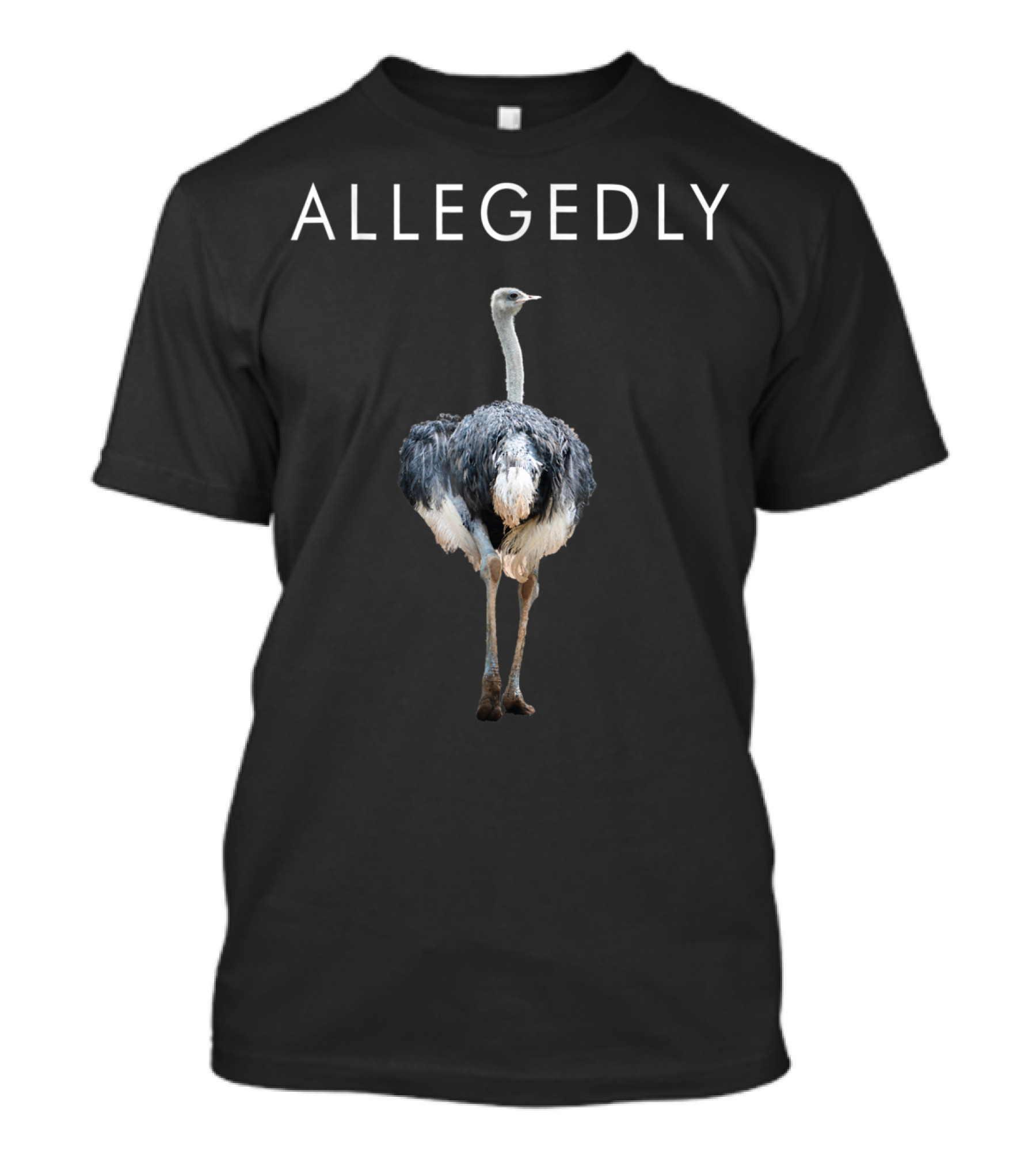 Allegedly Ostrich Vintage Humor T-Shirt
