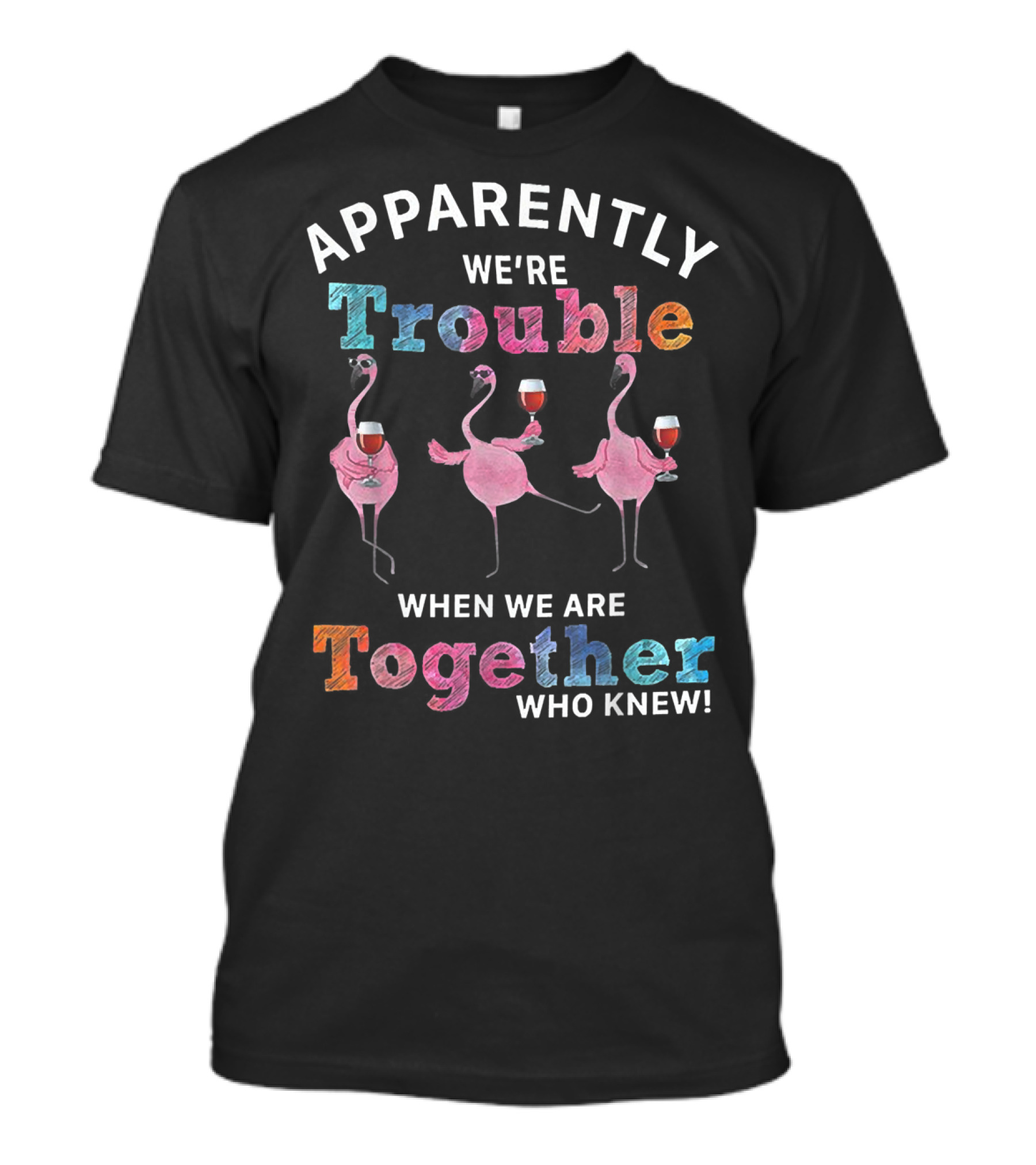 APPARENTLY WE'RE TROUBLE WHEN WE ARE TOGETHER WHO KNEW FLAMINGOS WITH WINE T-Shirt