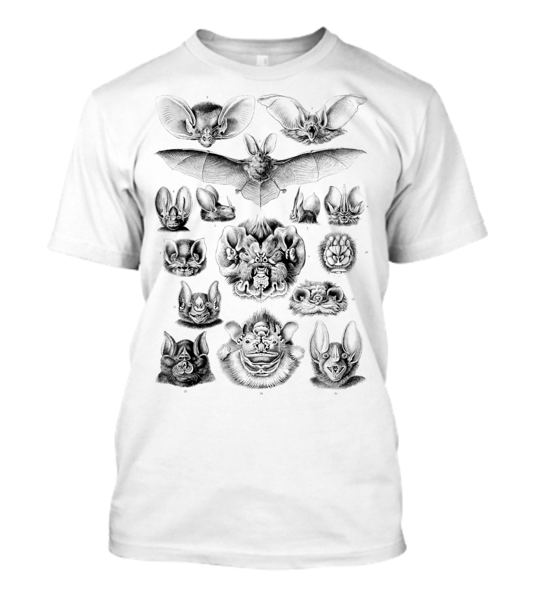 Bats Biology Scientific Illustration Detailed Sketches T-Shirt