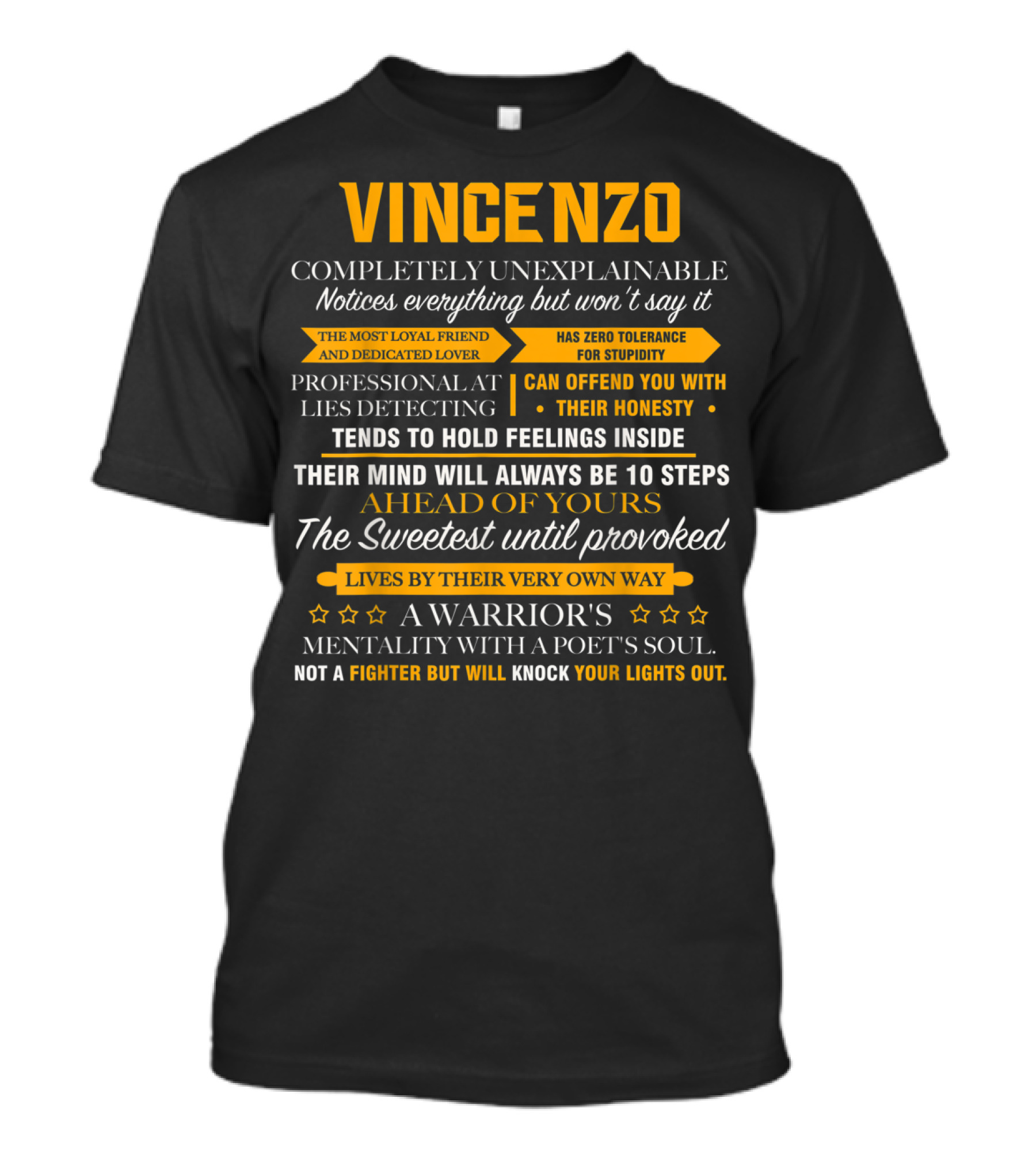 Vincenzo Completely Unexplainable Notices Everything A Warrior's Mentality With A Poet's Soul T-Shirt