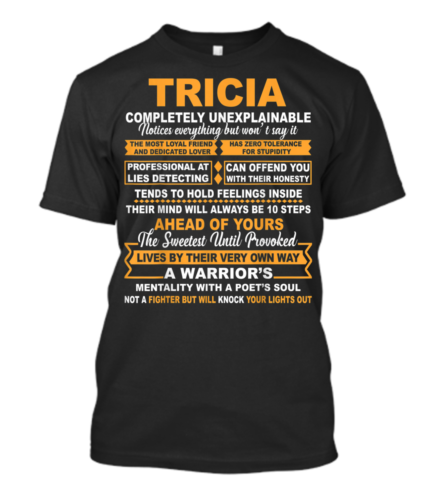TRICIA Completely Unexplainable Notices Everything Holds Feelings Inside Warrior's Mentality Poet's Soul T-Shirt