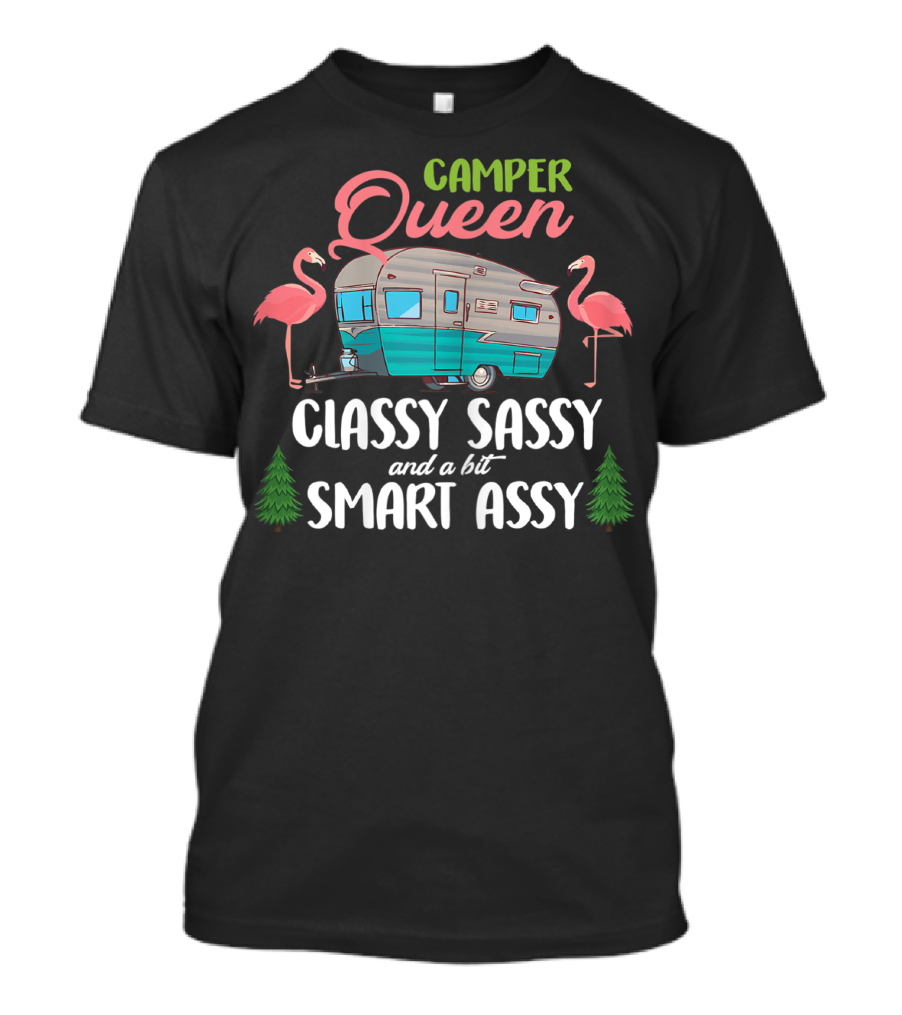 Camper Queen Classy Sassy And A Bit Smart Assy T-Shirt