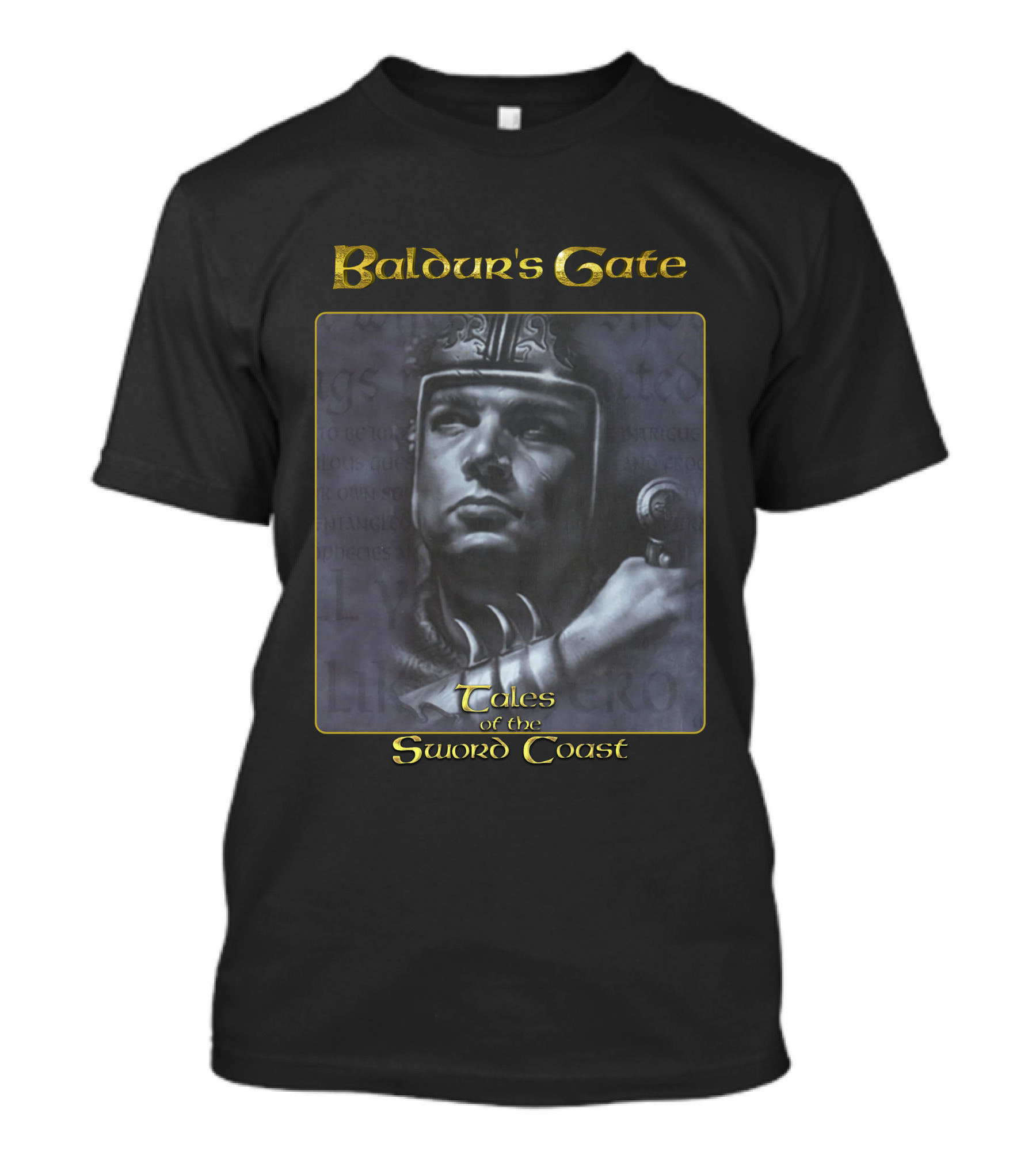Baldur's Gate Tales Of The Sword Coast Warrior T-Shirt