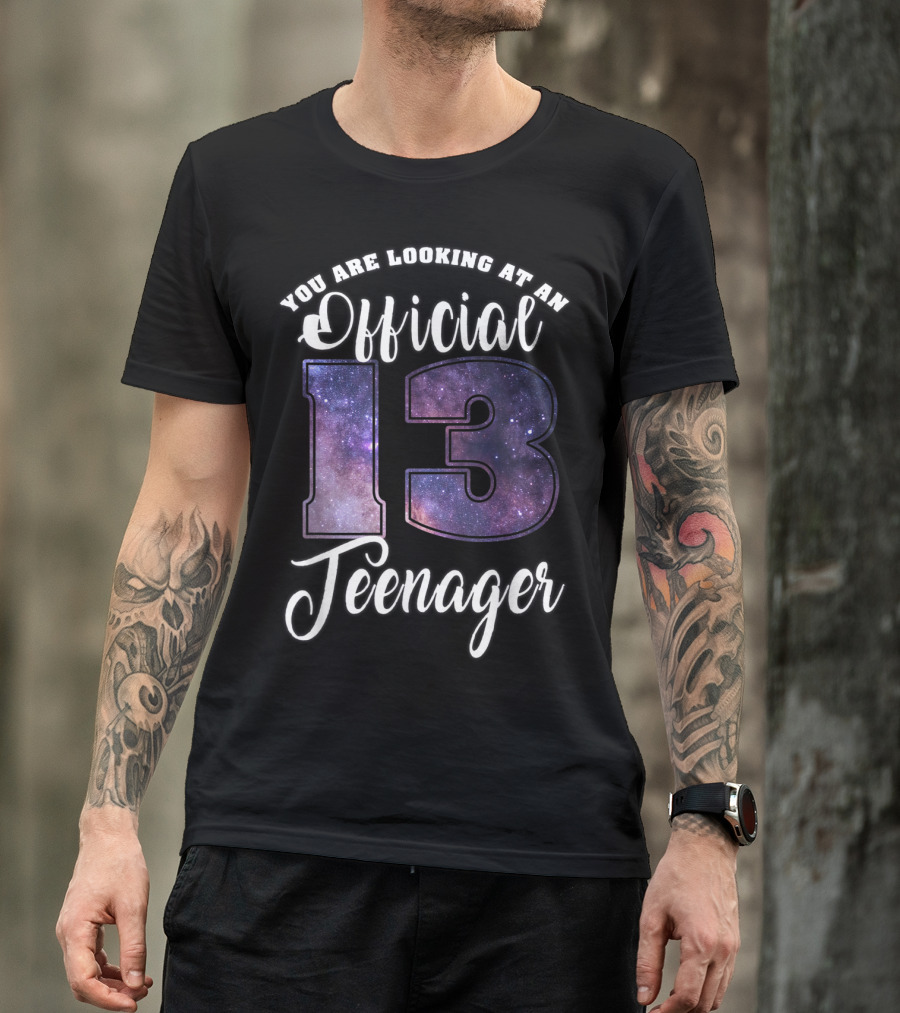You Are Looking At An Official 13 Teenager T-Shirt