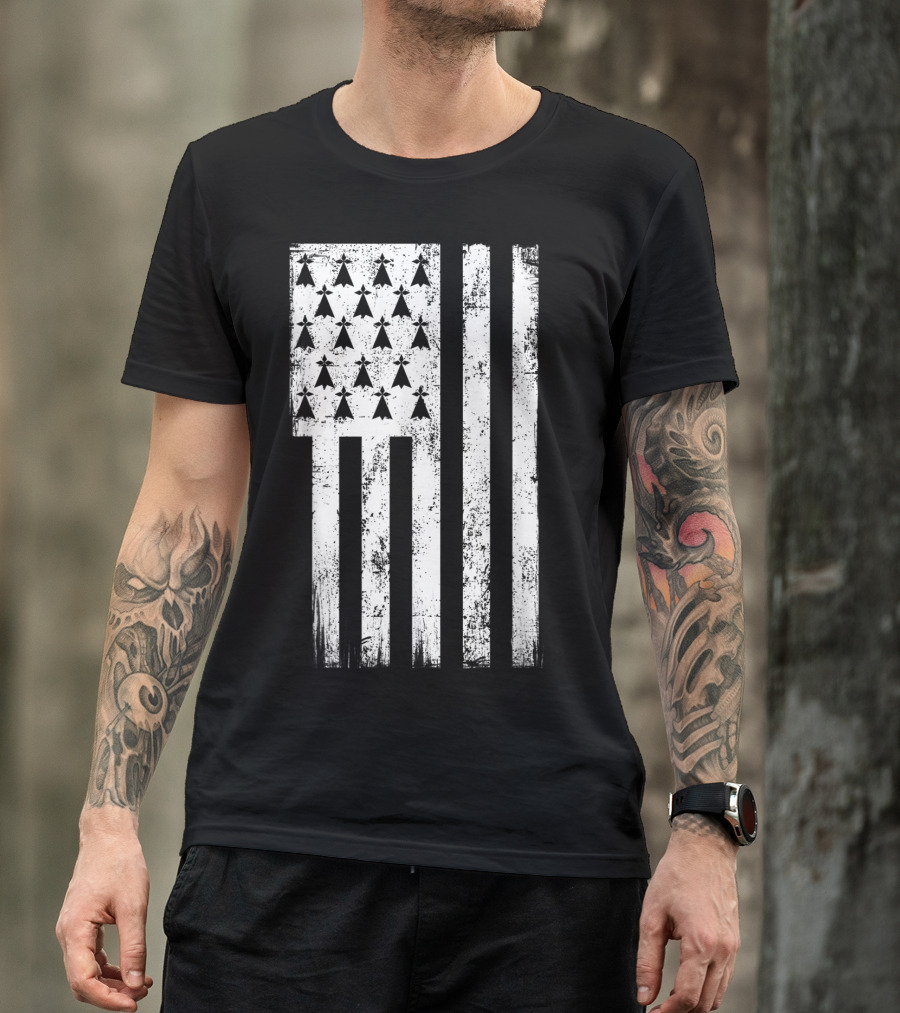 Bretagne Flag Distressed Bretagne Region Of France T-Shirt
