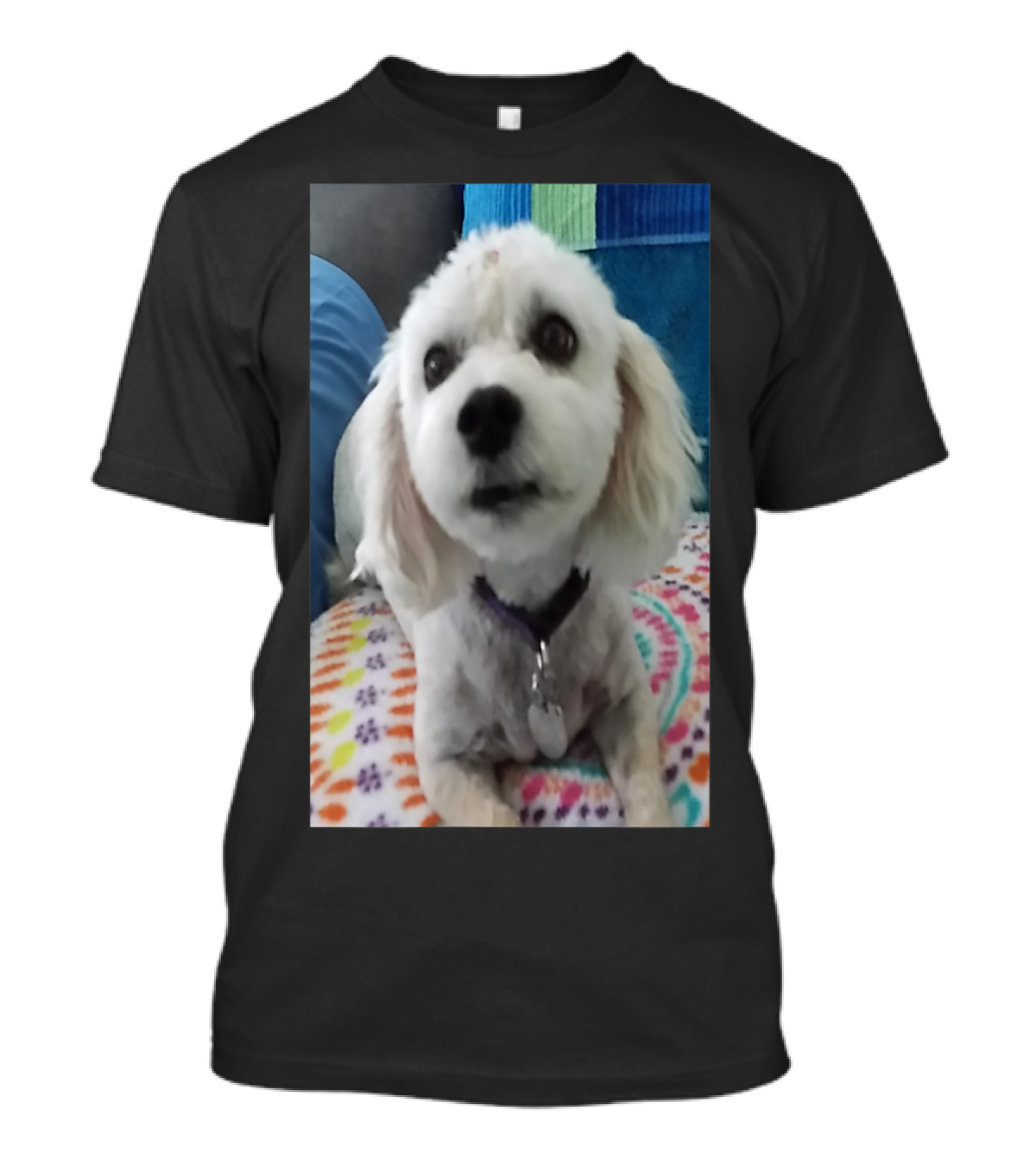 Cute Dog And Colorful Blanket T-Shirt