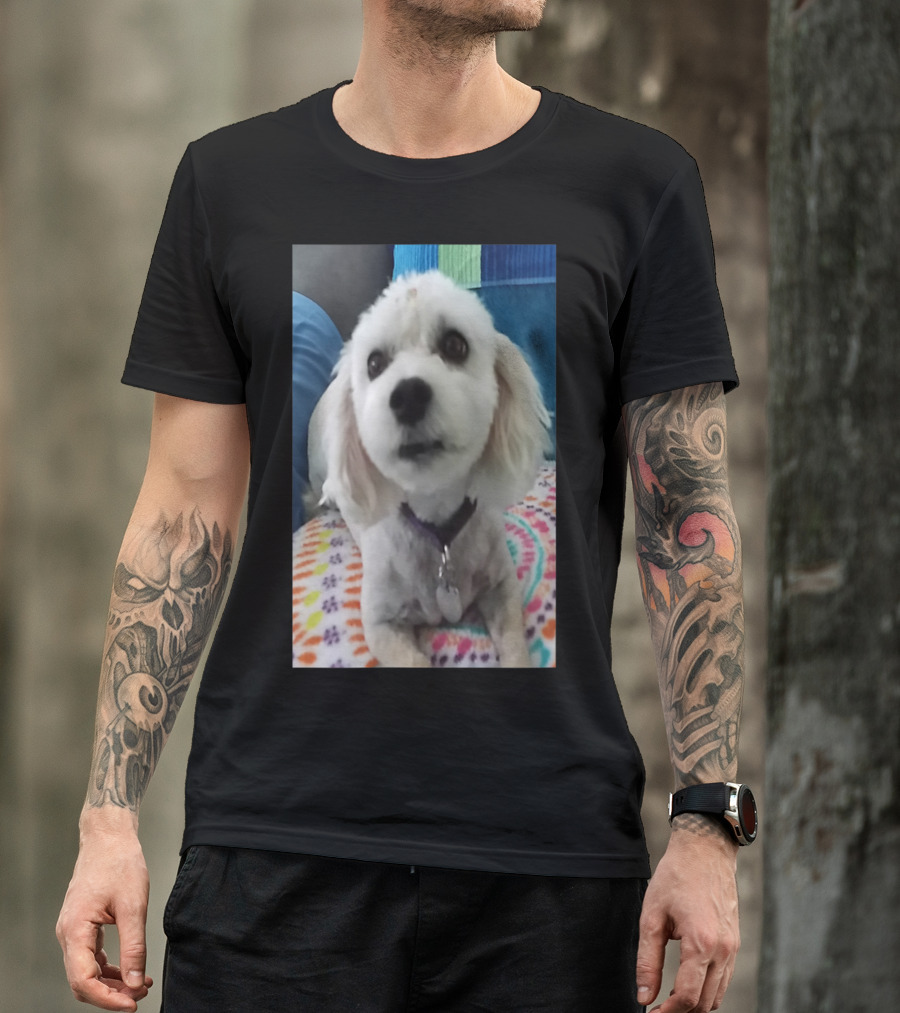 Cute Dog And Colorful Blanket T-Shirt