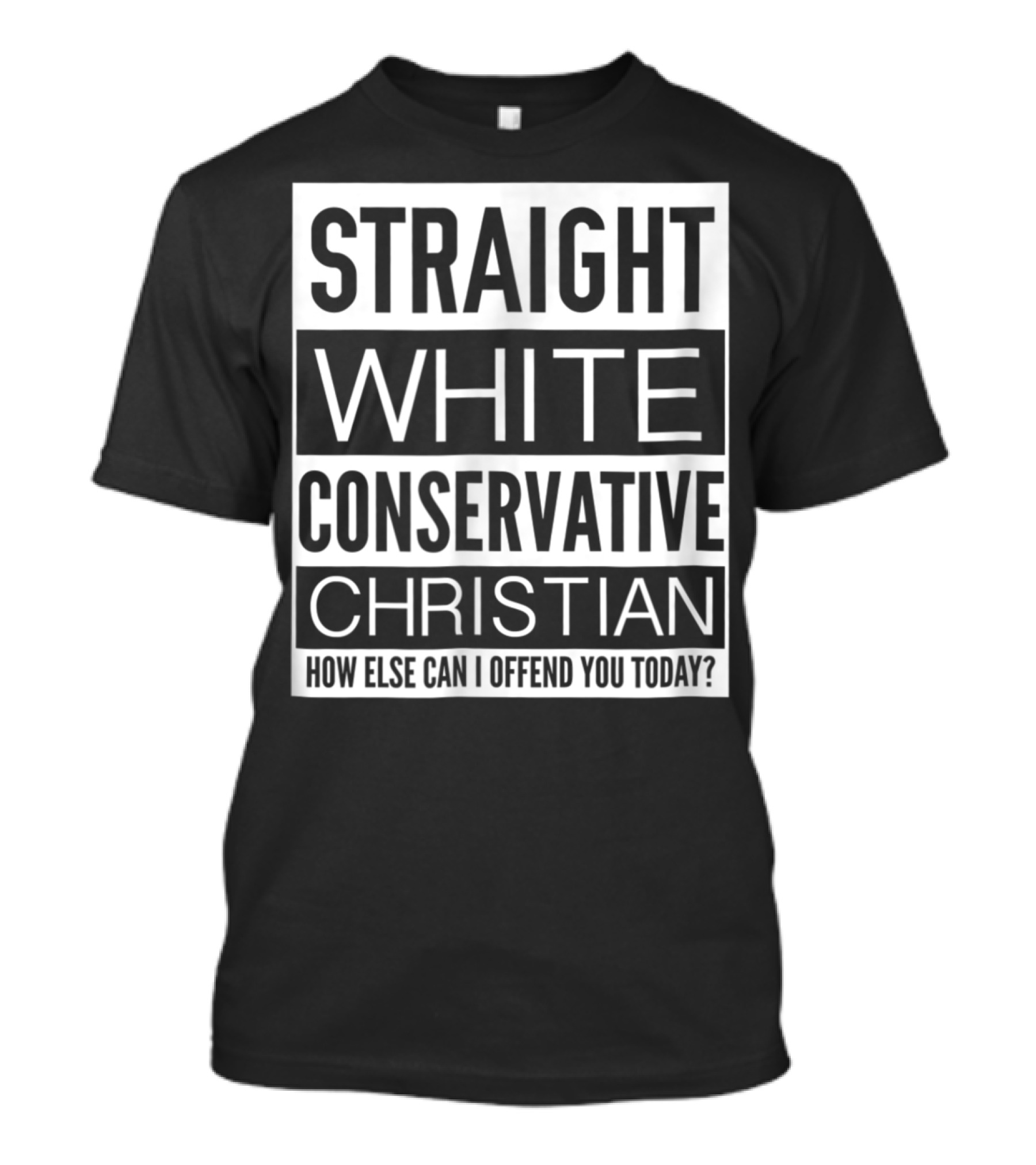 Straight White Conservative Christian How Else Can I Offend You Today T-Shirt
