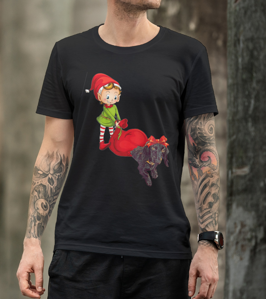 Kids Elf With Red Gift Sack And Black Dog In Santa Hat T-Shirt