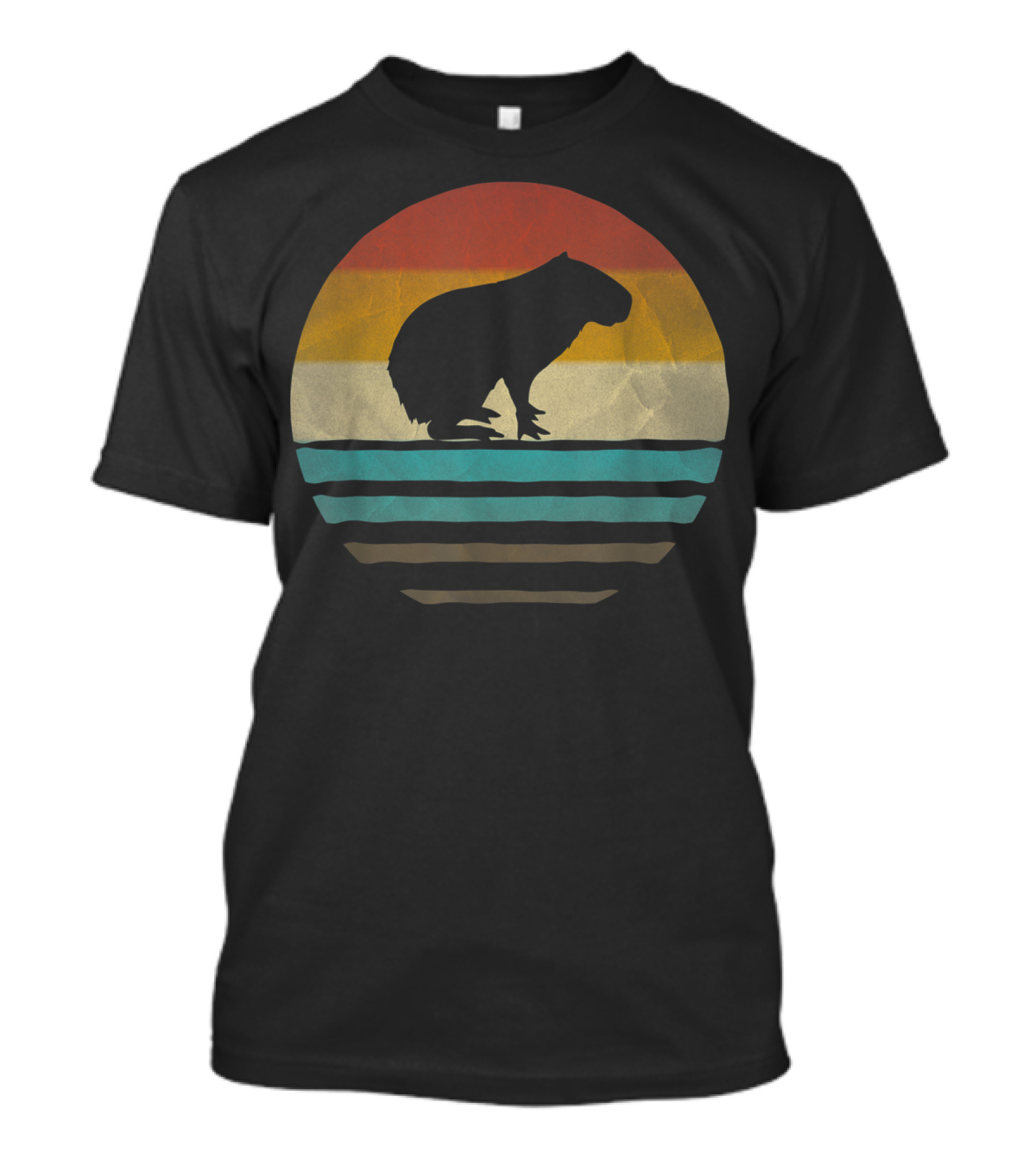 Capybara Vintage 70s Retro Sunset T-Shirt
