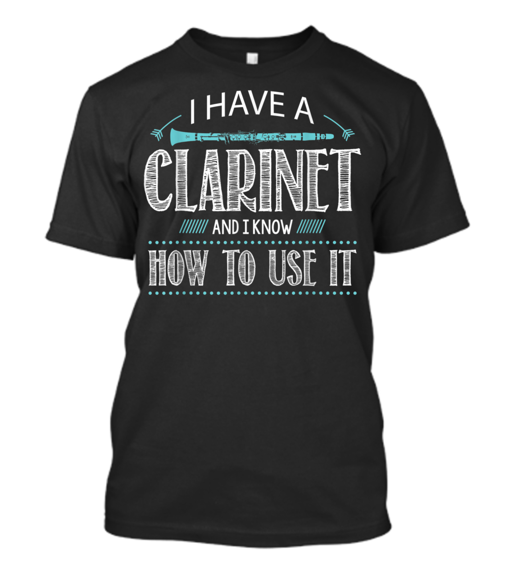 I Have A Clarinet And I Know How To Use It T-Shirt