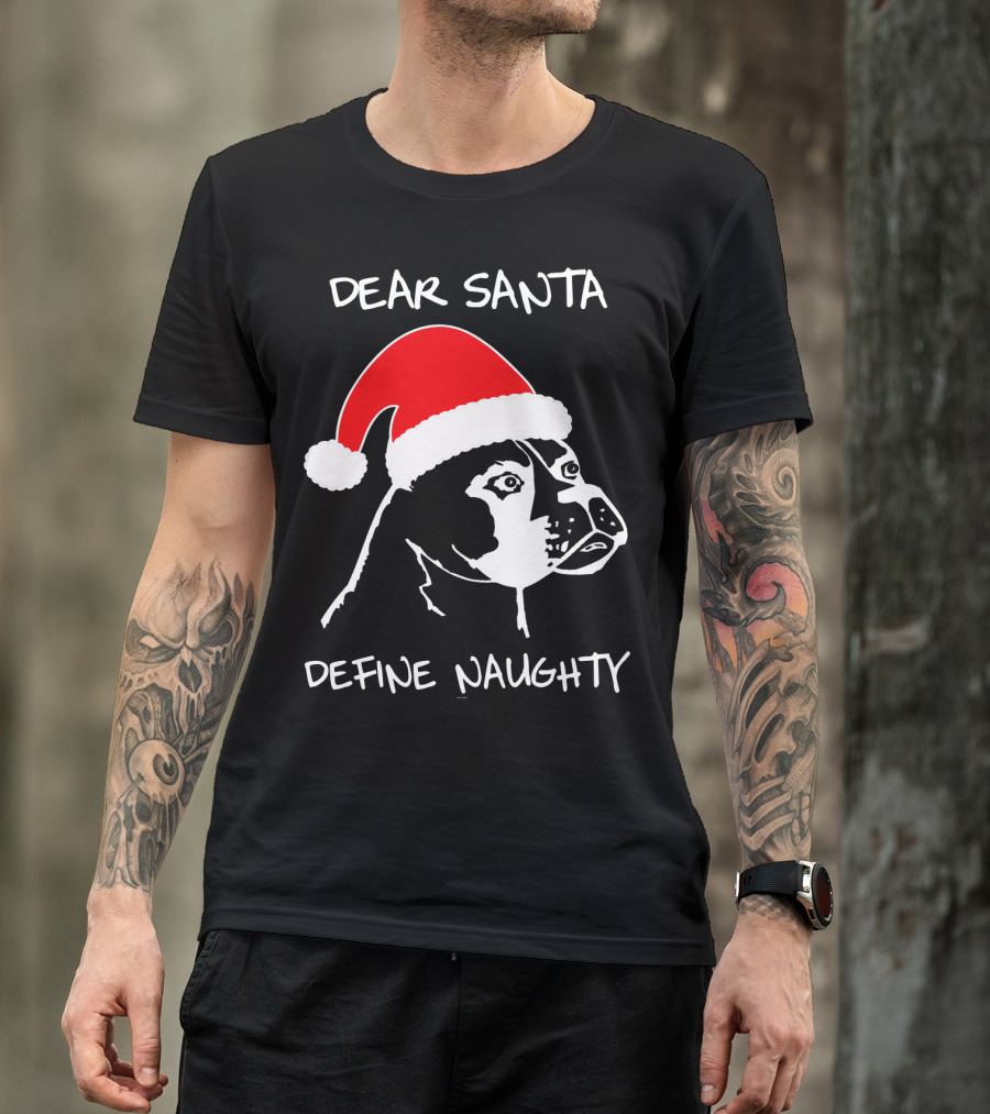 Dear Santa Define Naughty Boxer Funny Ugly Xmas Dog Lovers T-Shirt