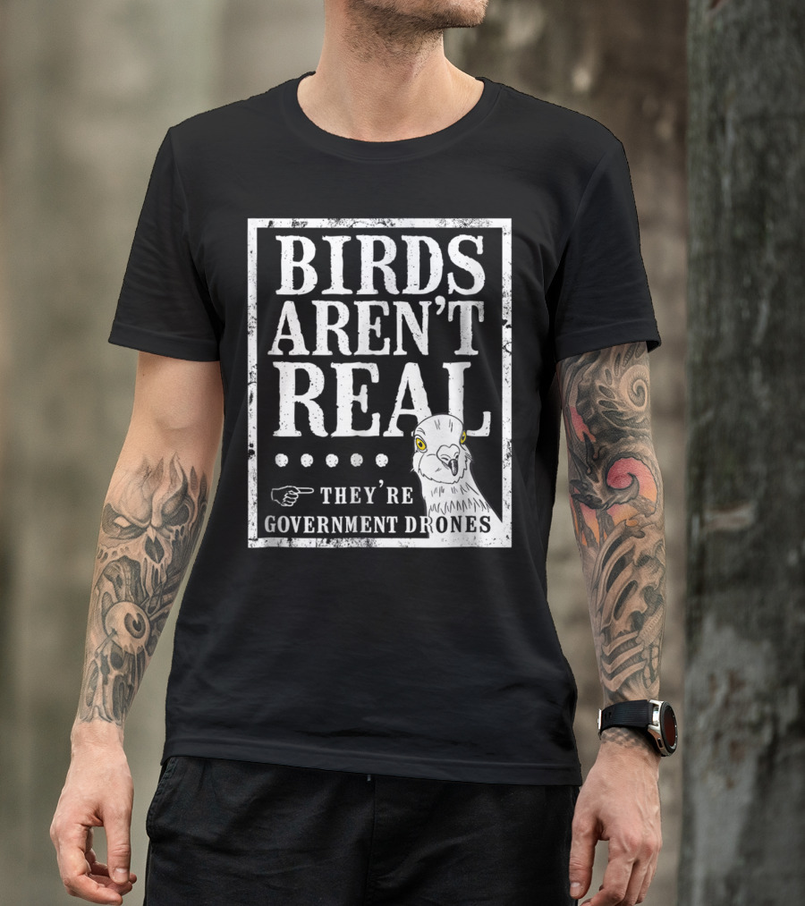 BIRDS AREN'T REAL THEY'RE GOVERNMENT DRONES MEME T-Shirt